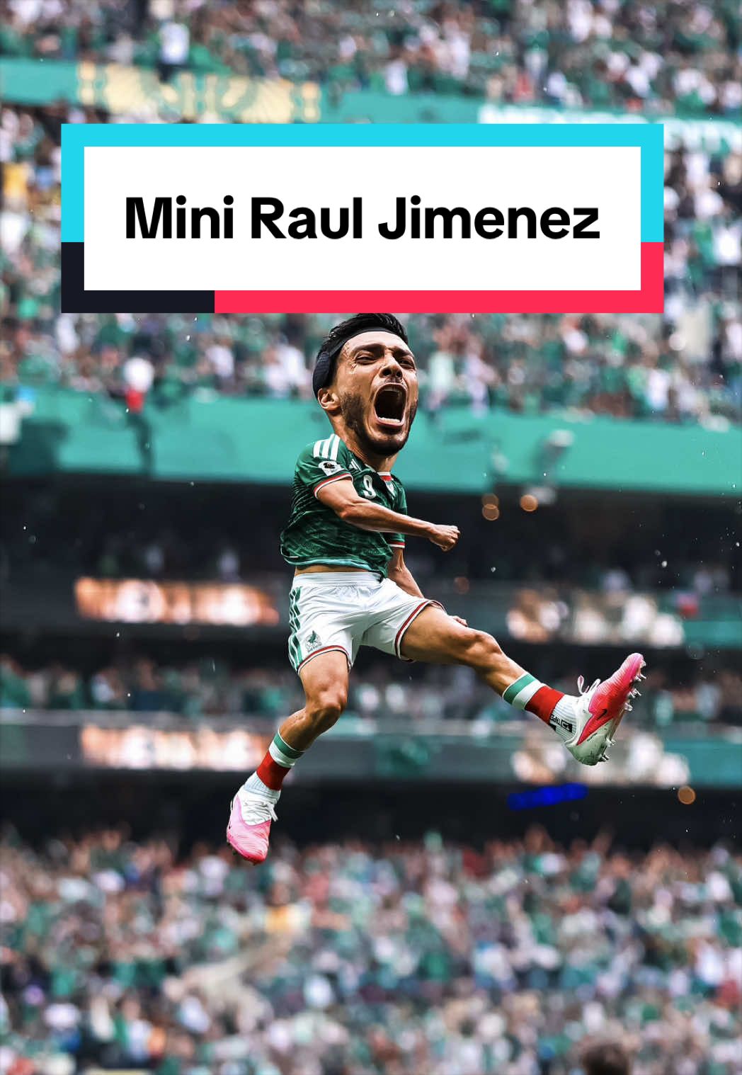 @Minifootballer_