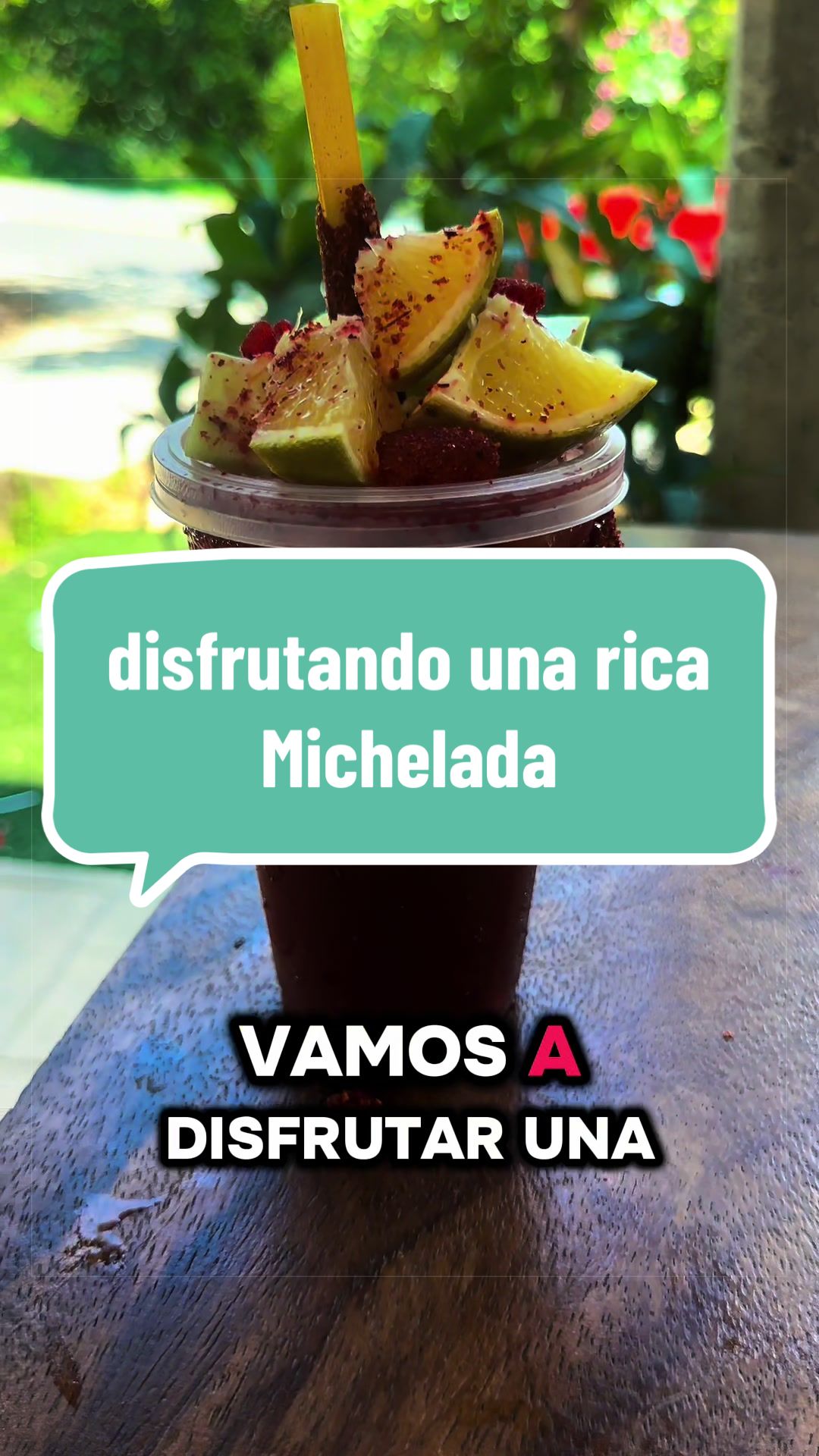 @caballeroviajero0317