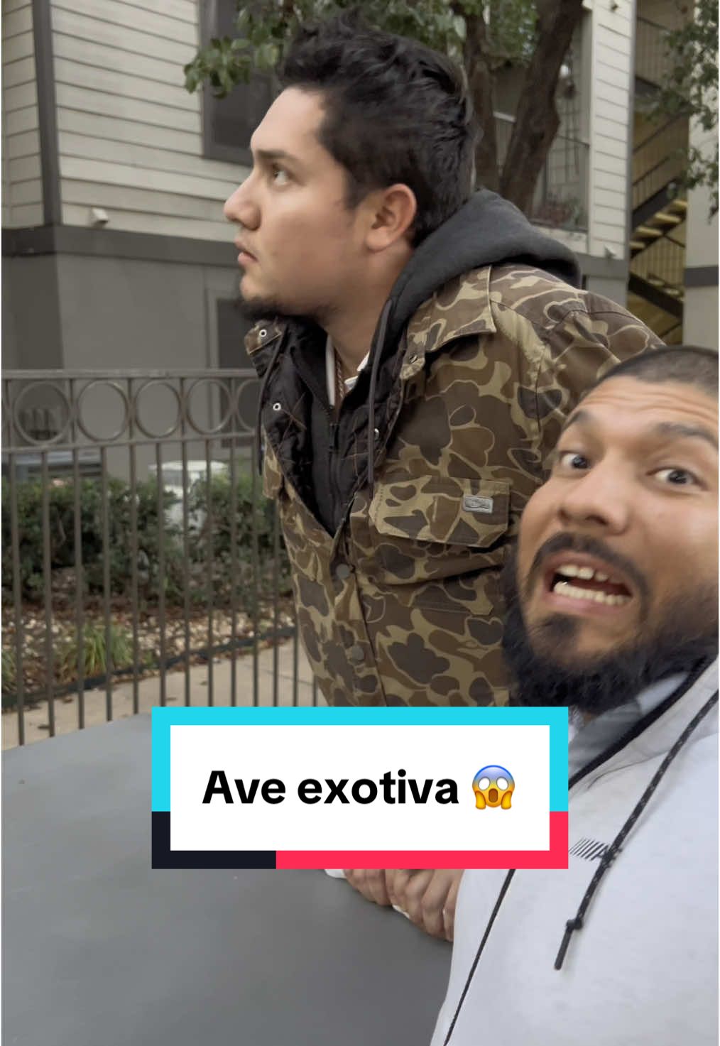 @ReMamal&oacute;n