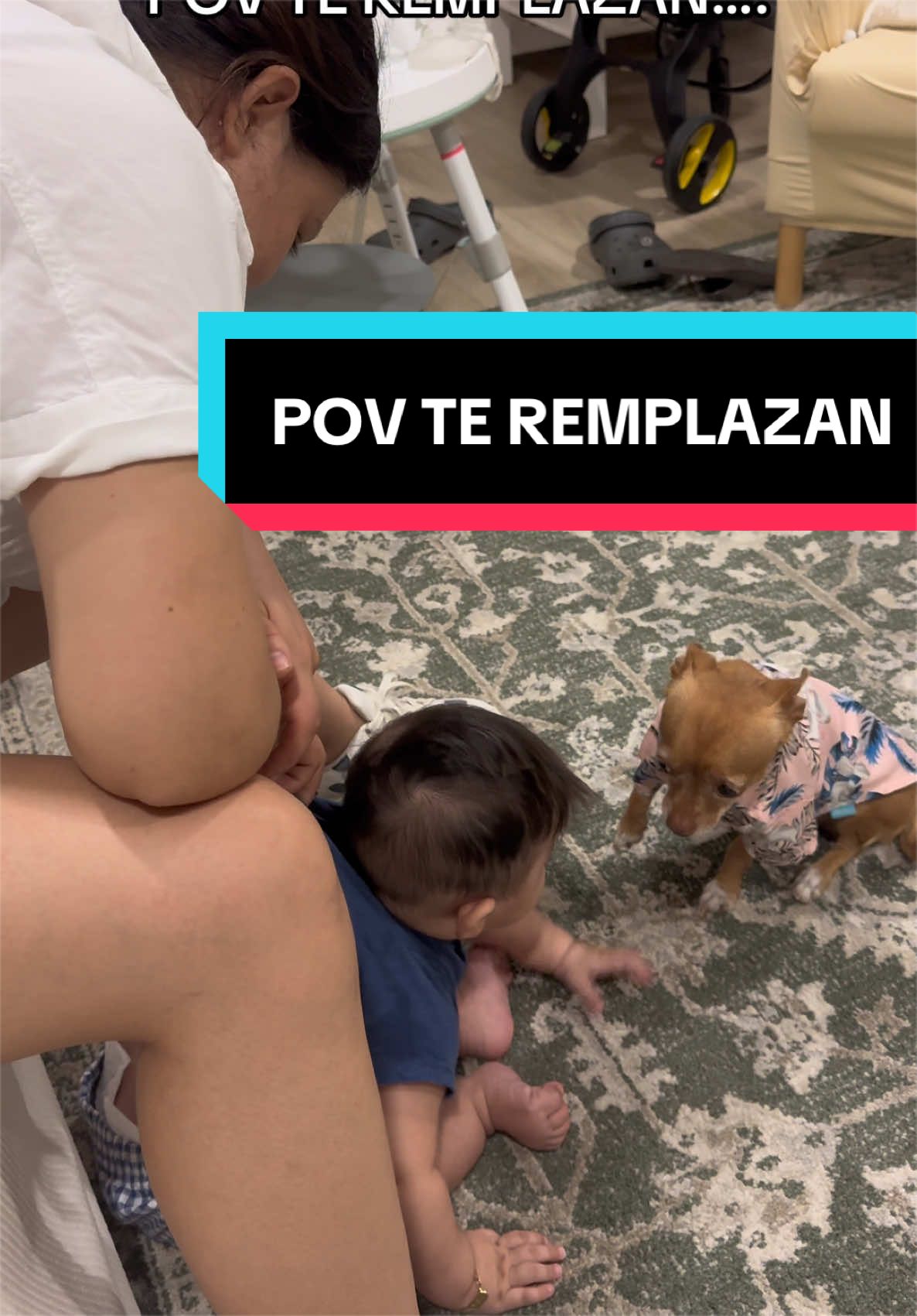 @OmarRuviazzz