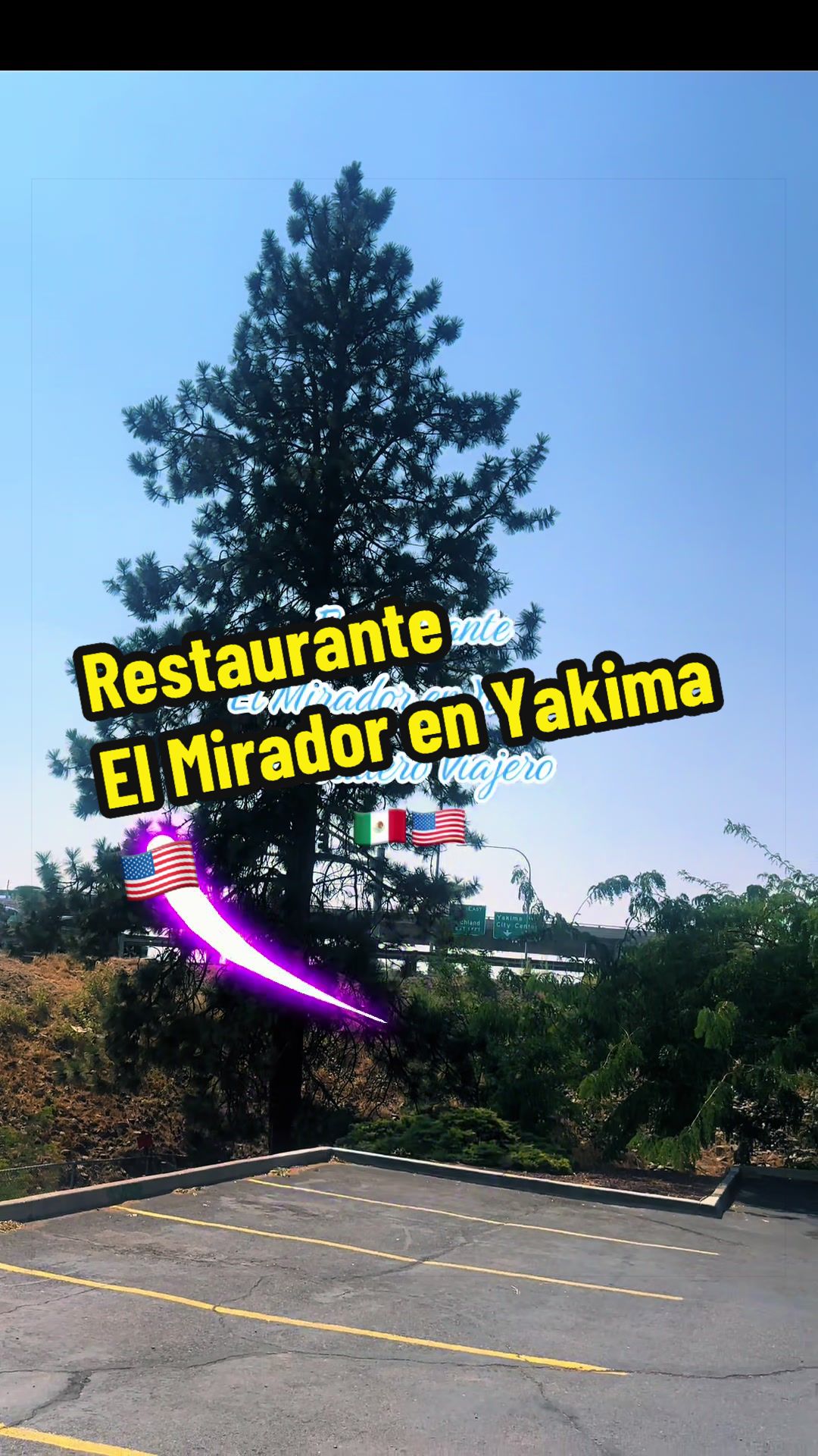 @caballeroviajero0317