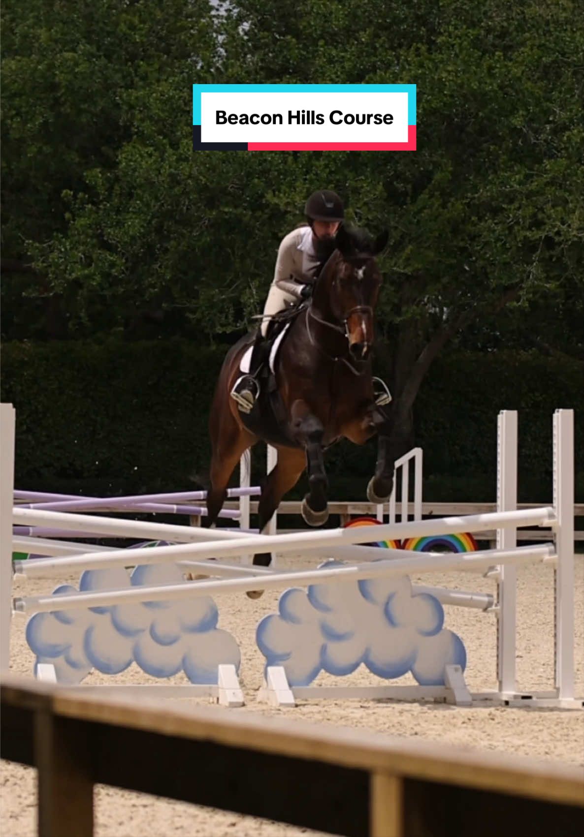 @Dalman Jump Co