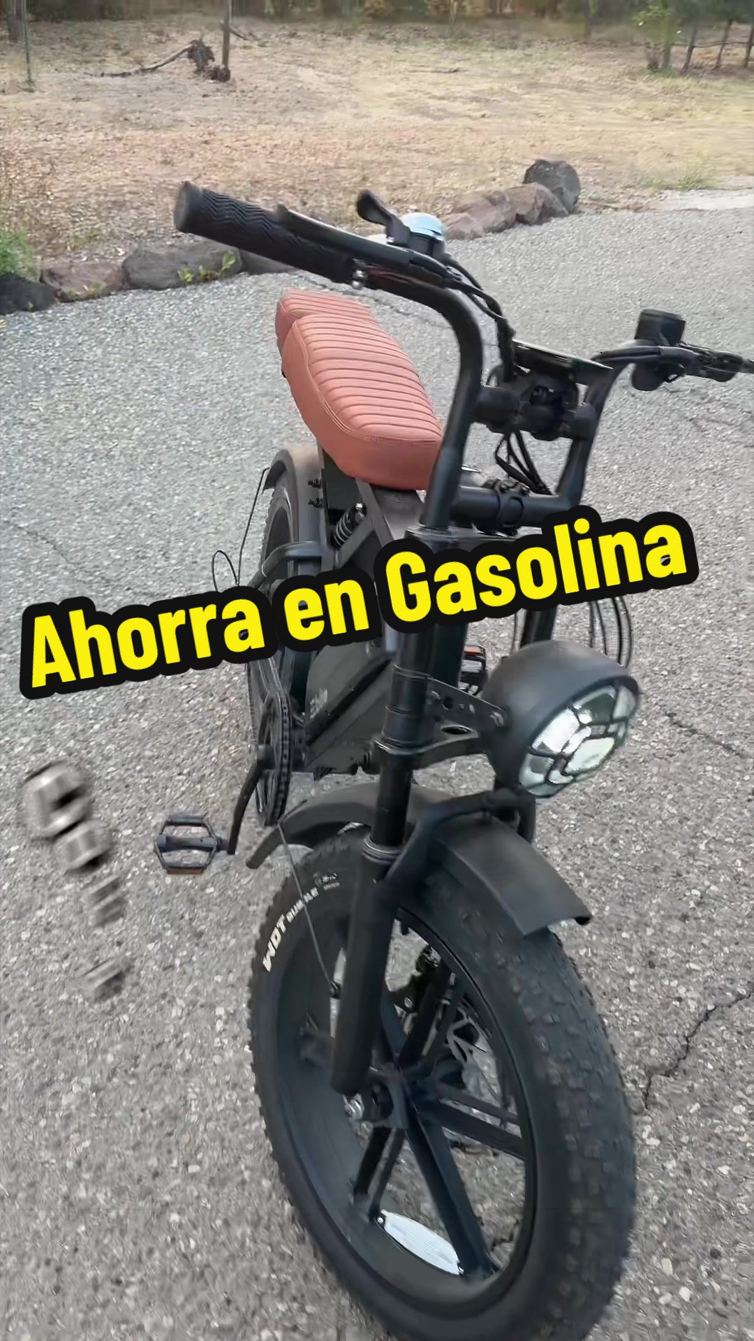 @lupithazzepeda