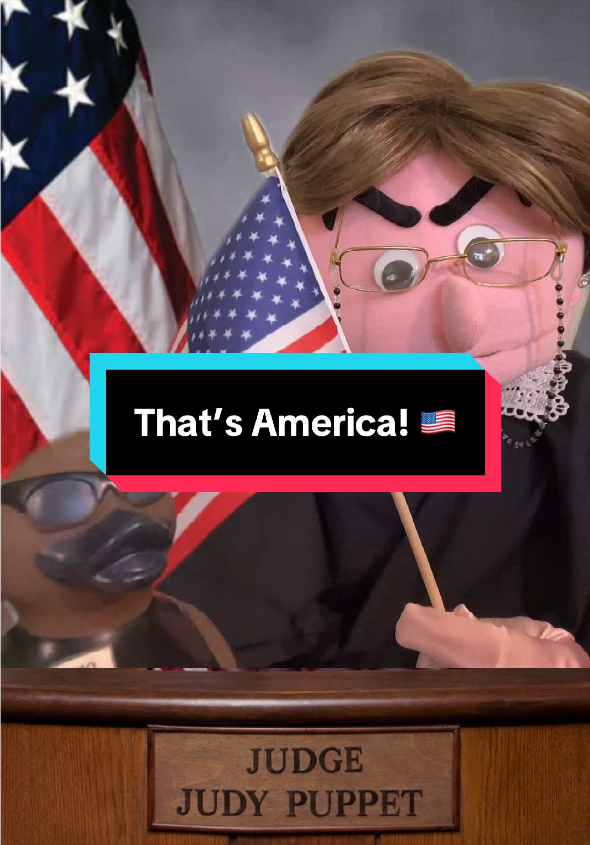 @Judy the Judgey Puppet Show