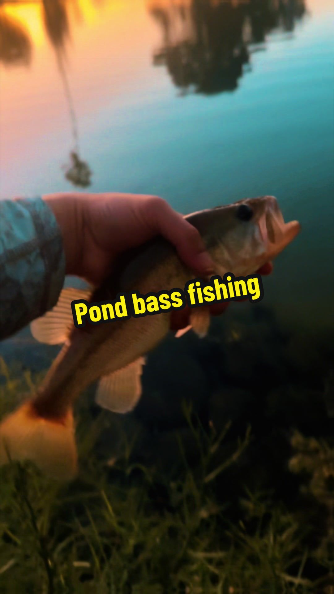 @Luu Nguyen Fishing