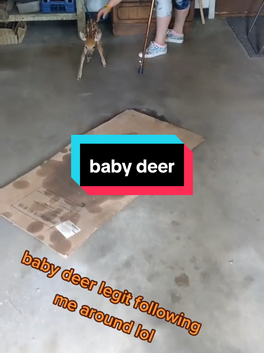@SP_The_Ned_Master