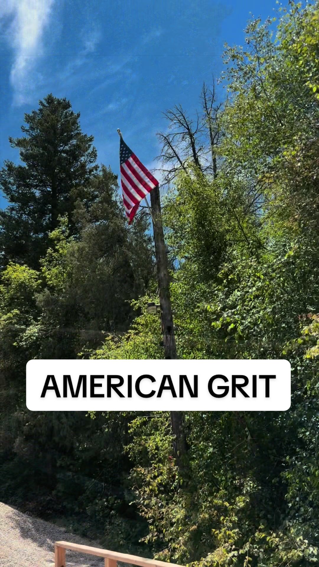 @FREEDOM HUSTLER
