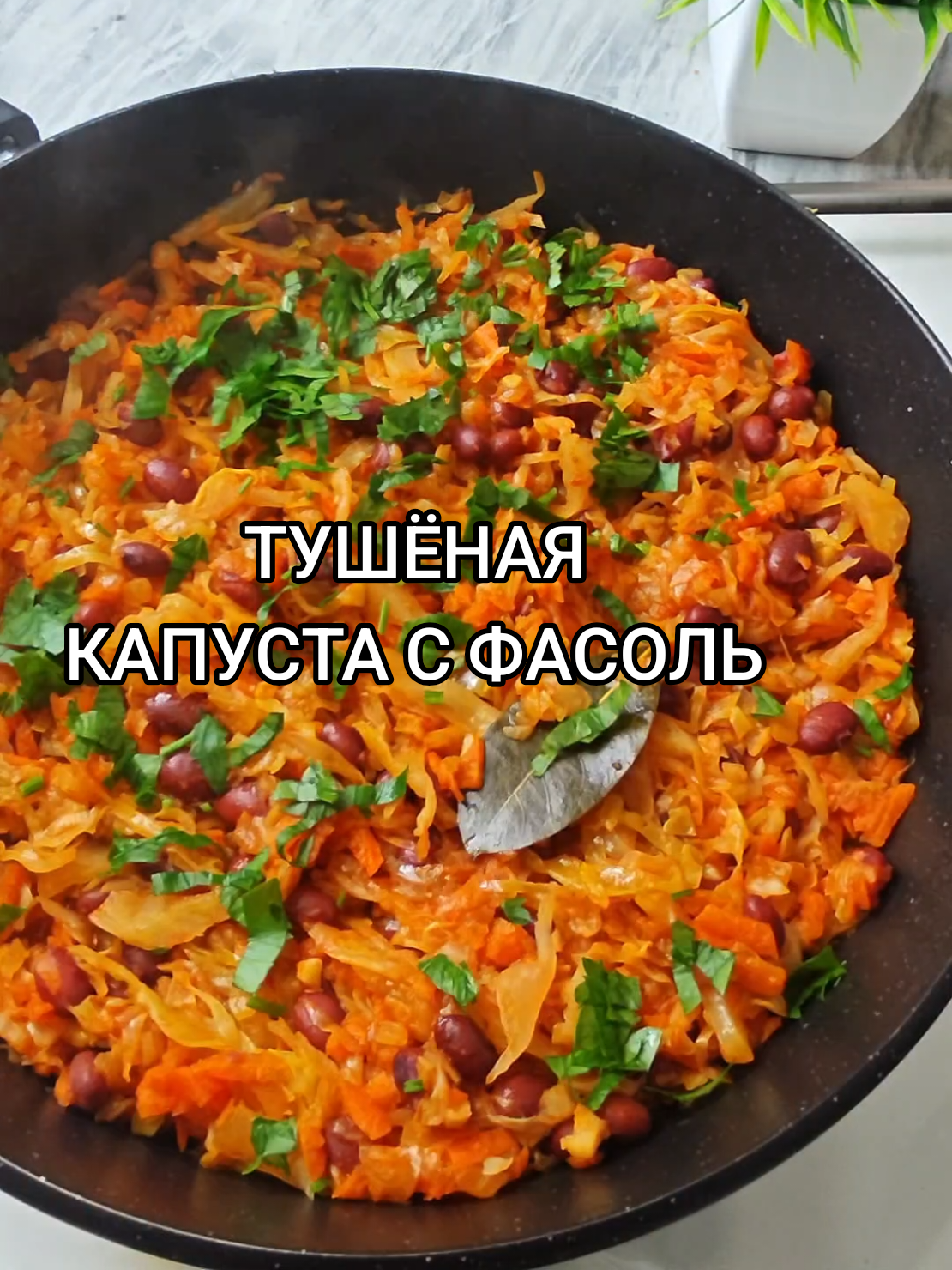 @Galina