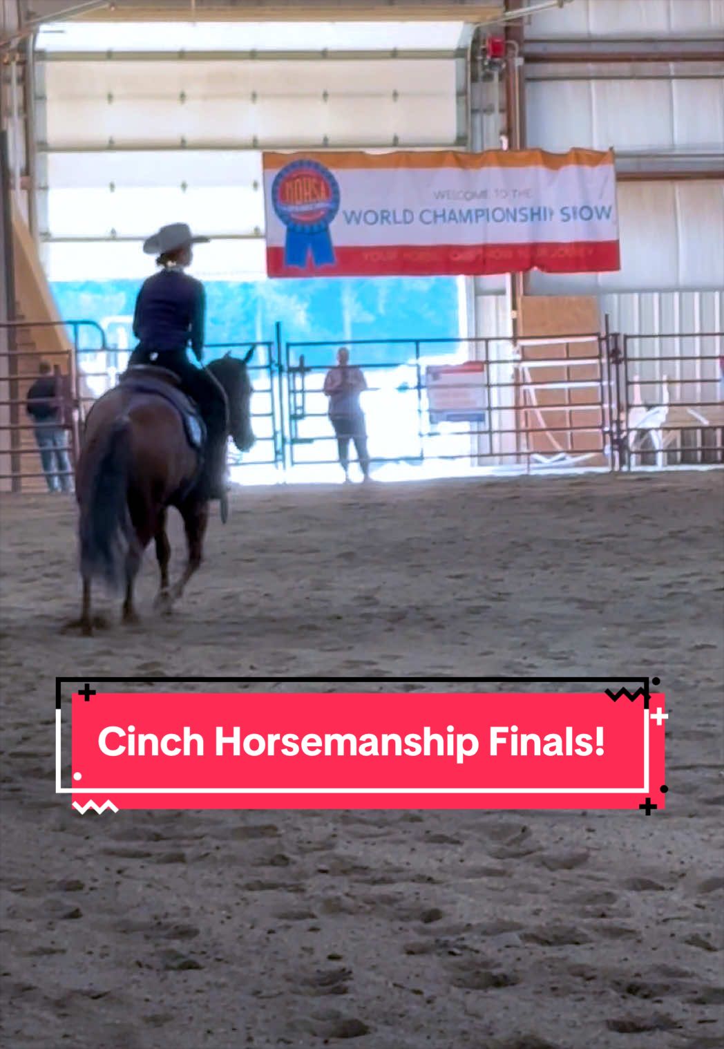 @yourhorseandponyleader