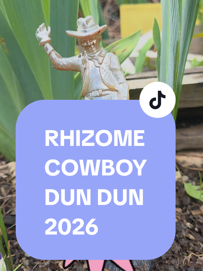 @Diana