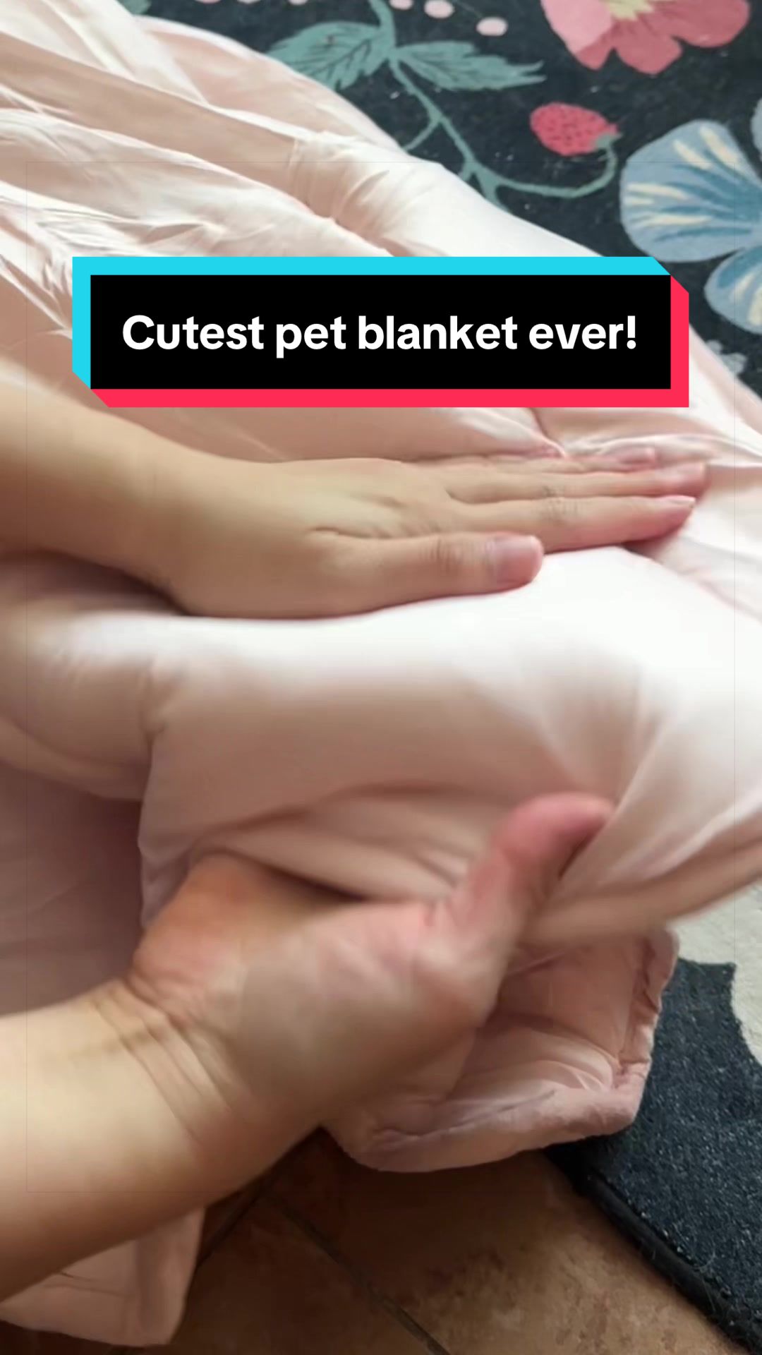 @meloncreamcat