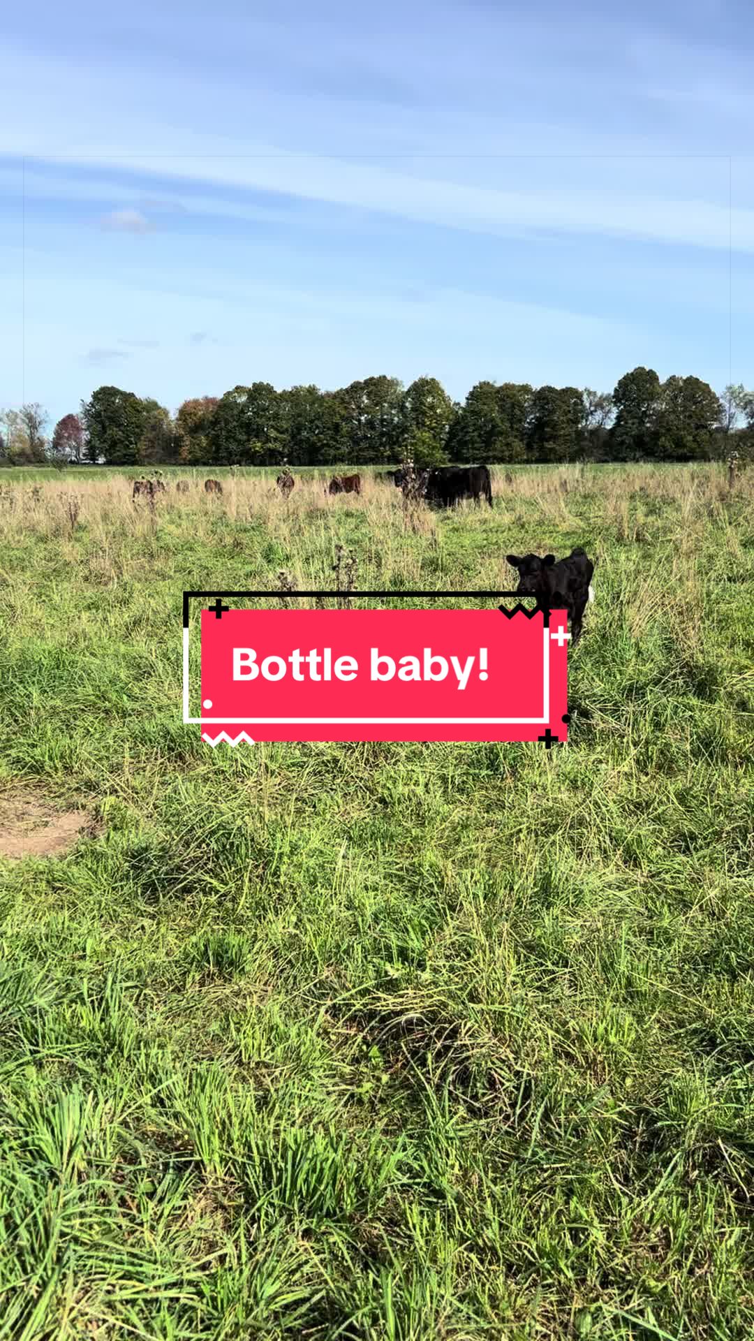 @littlesandycreekfarm