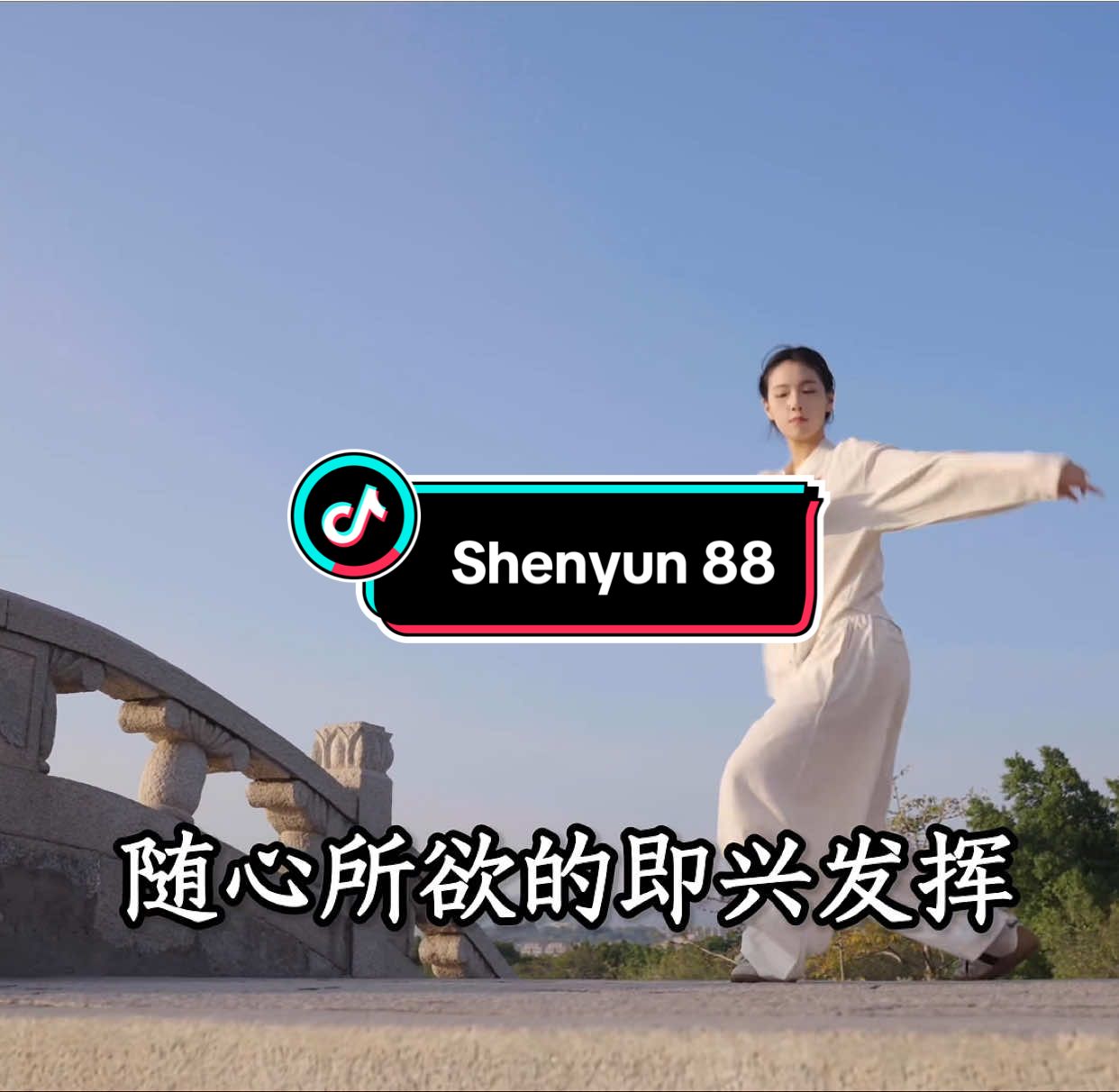 @kungfu shenyun