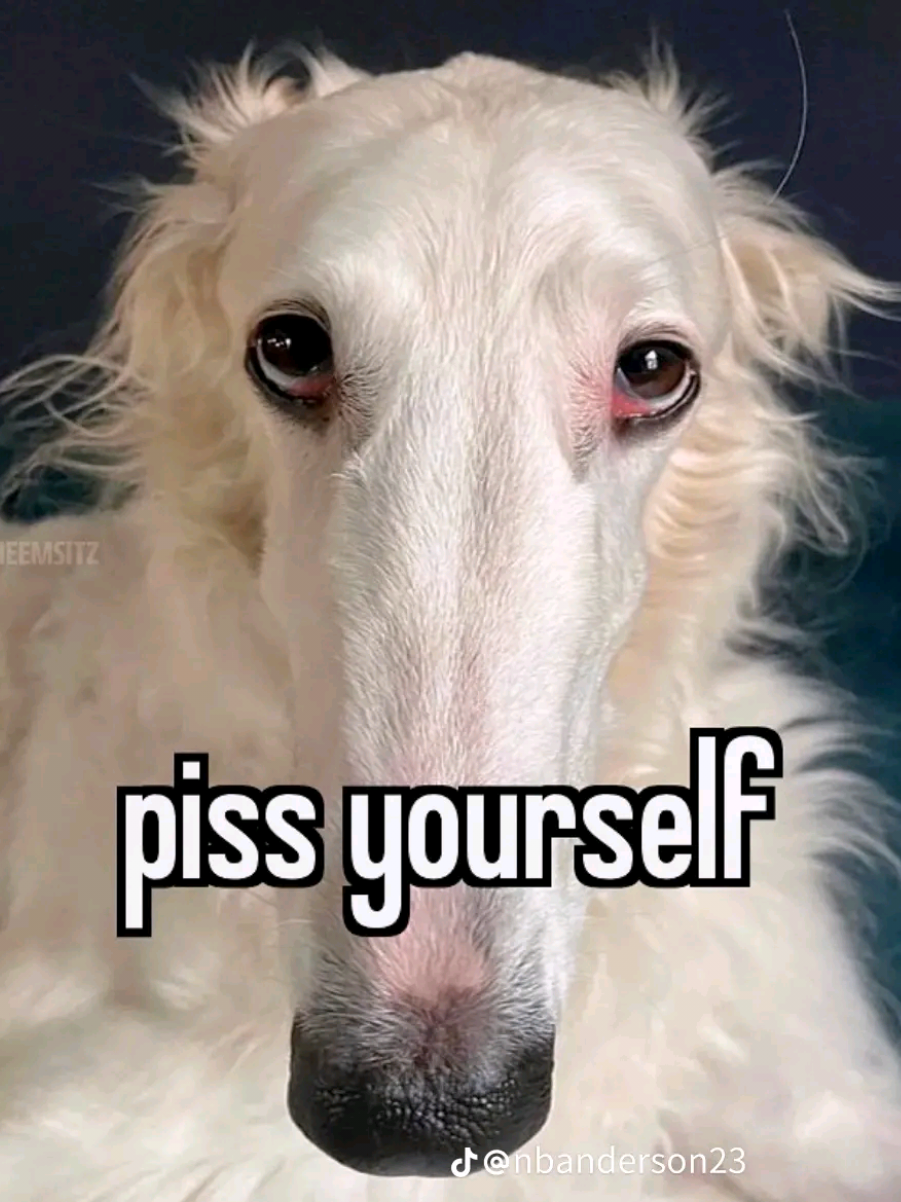 @Ne0NNeK0