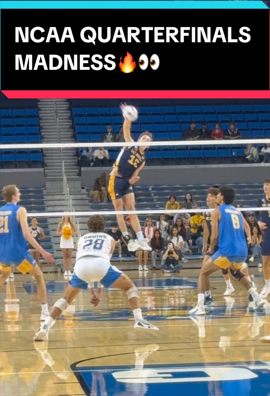 @First Seed Volleyball