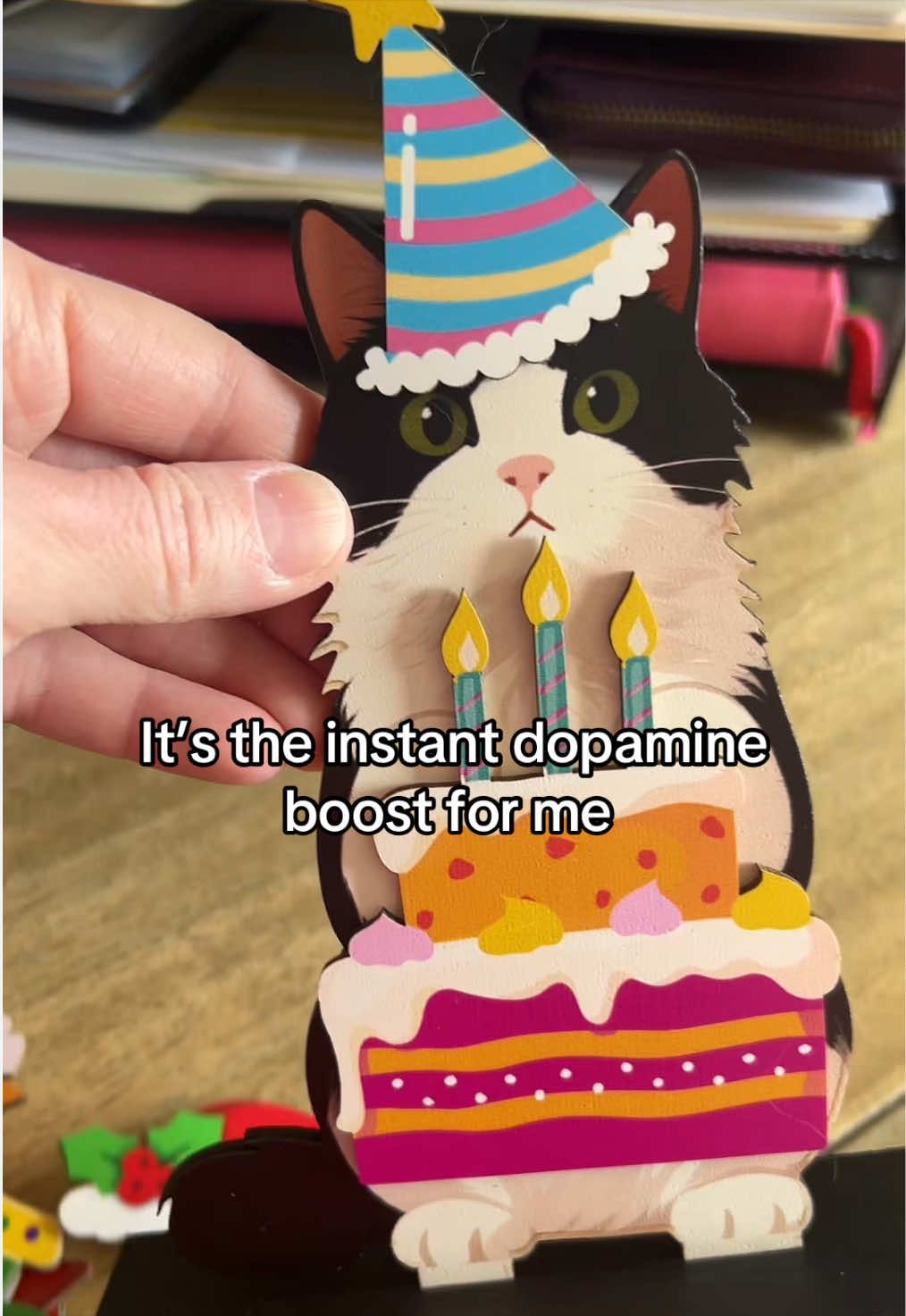 @Velvet Paws