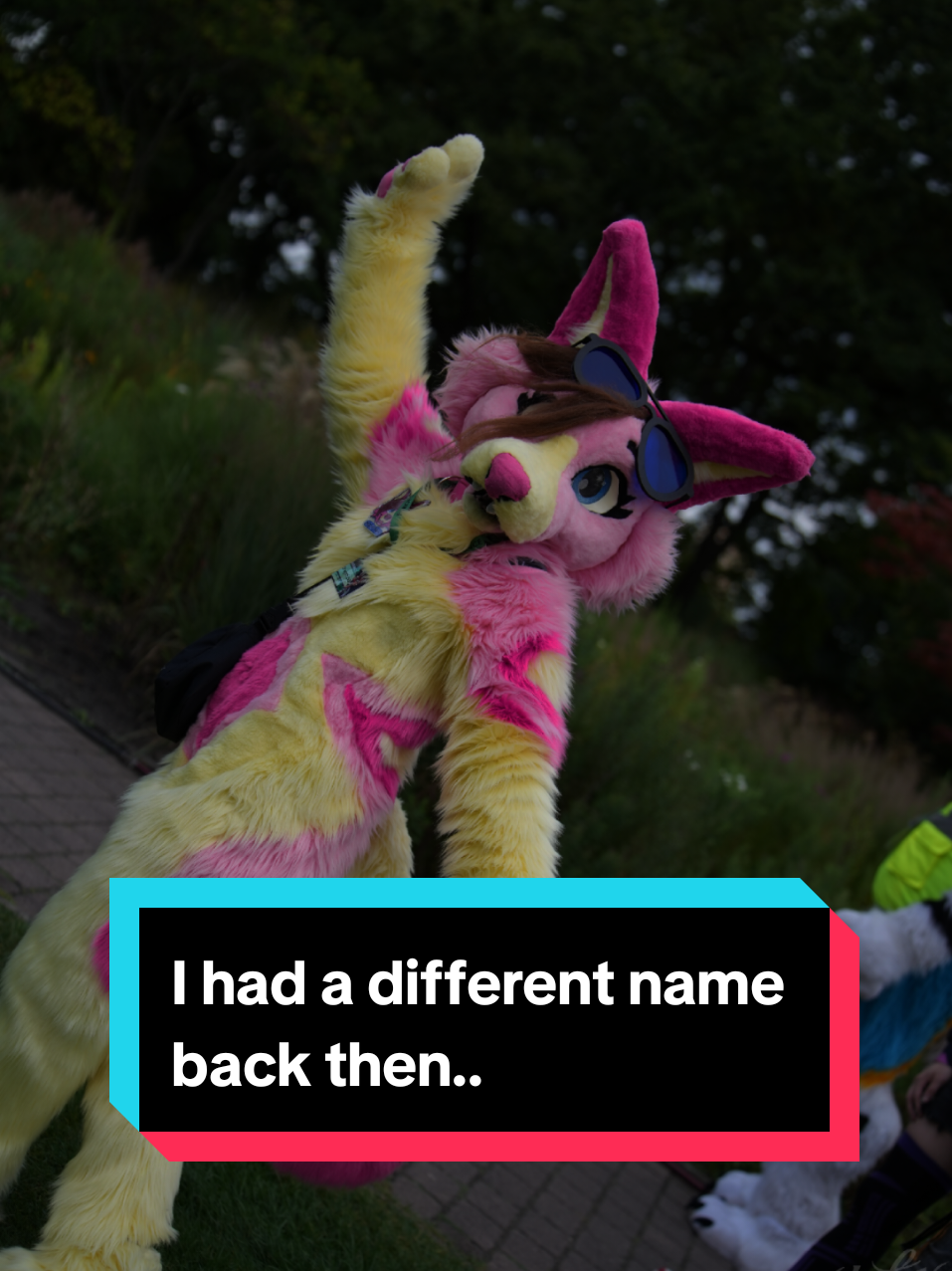 @DragonLova