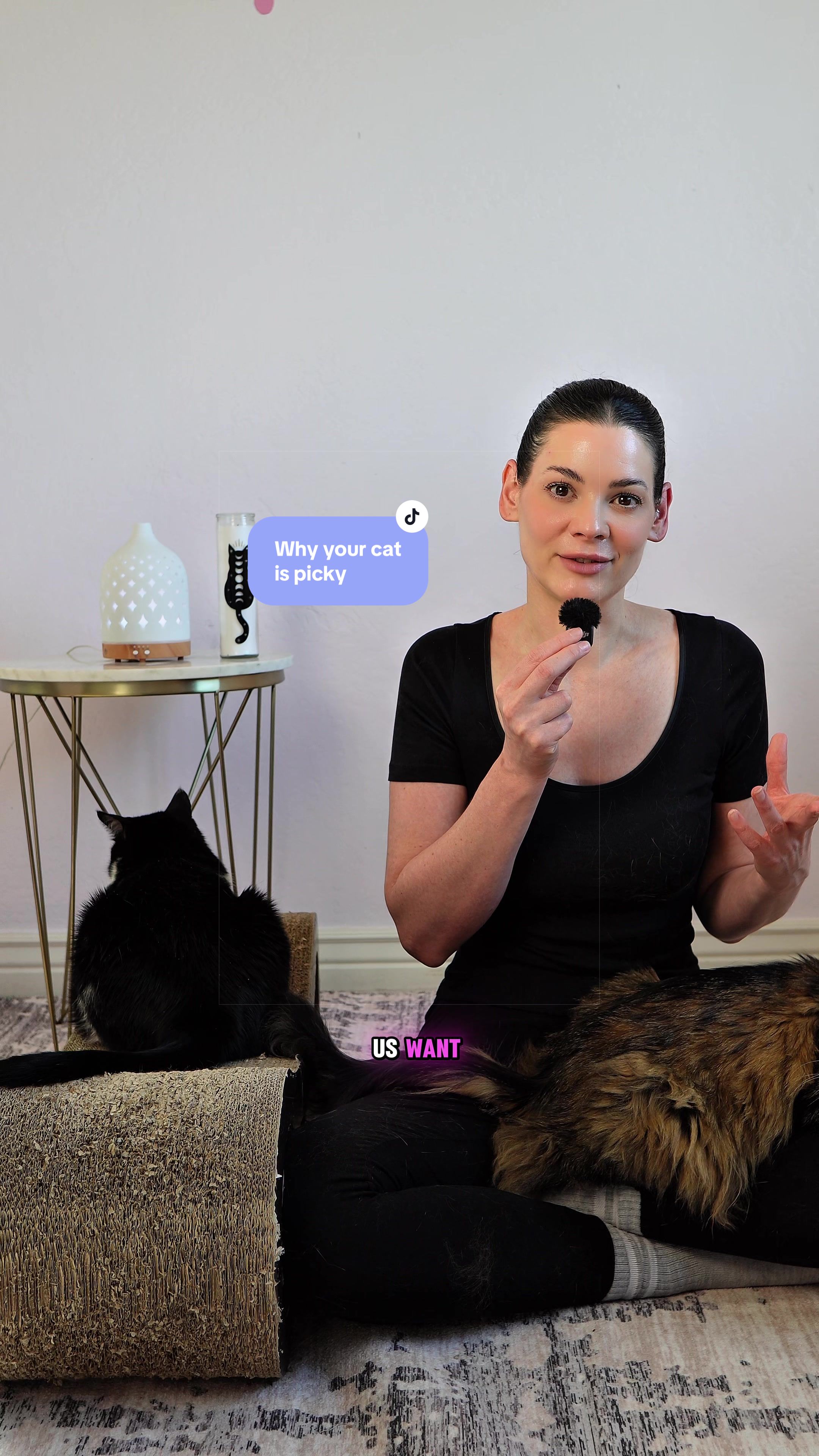 @Feminist Kitty | Cat Nutrition