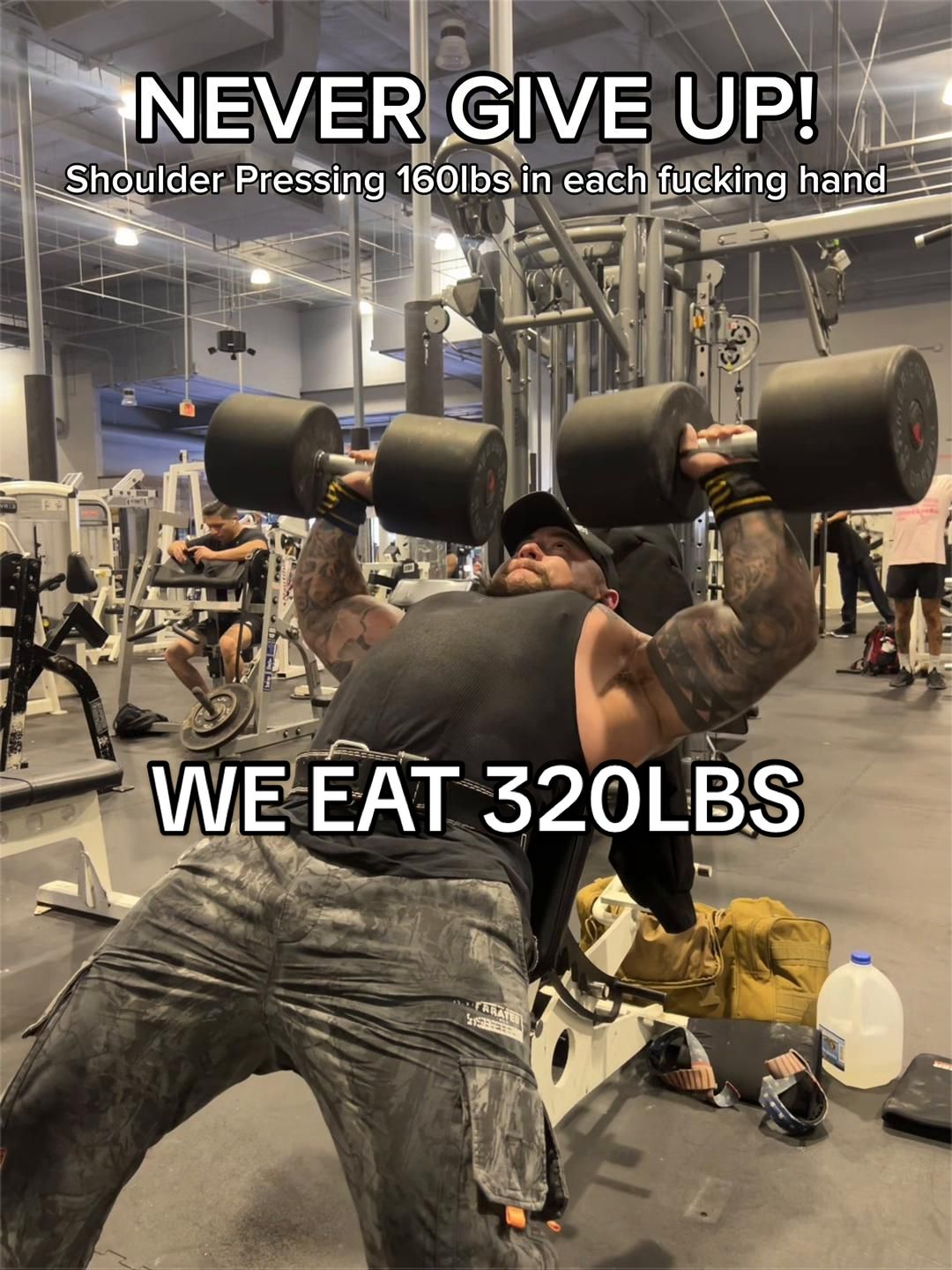 @GORILLA QUINN 🦍🇺🇸