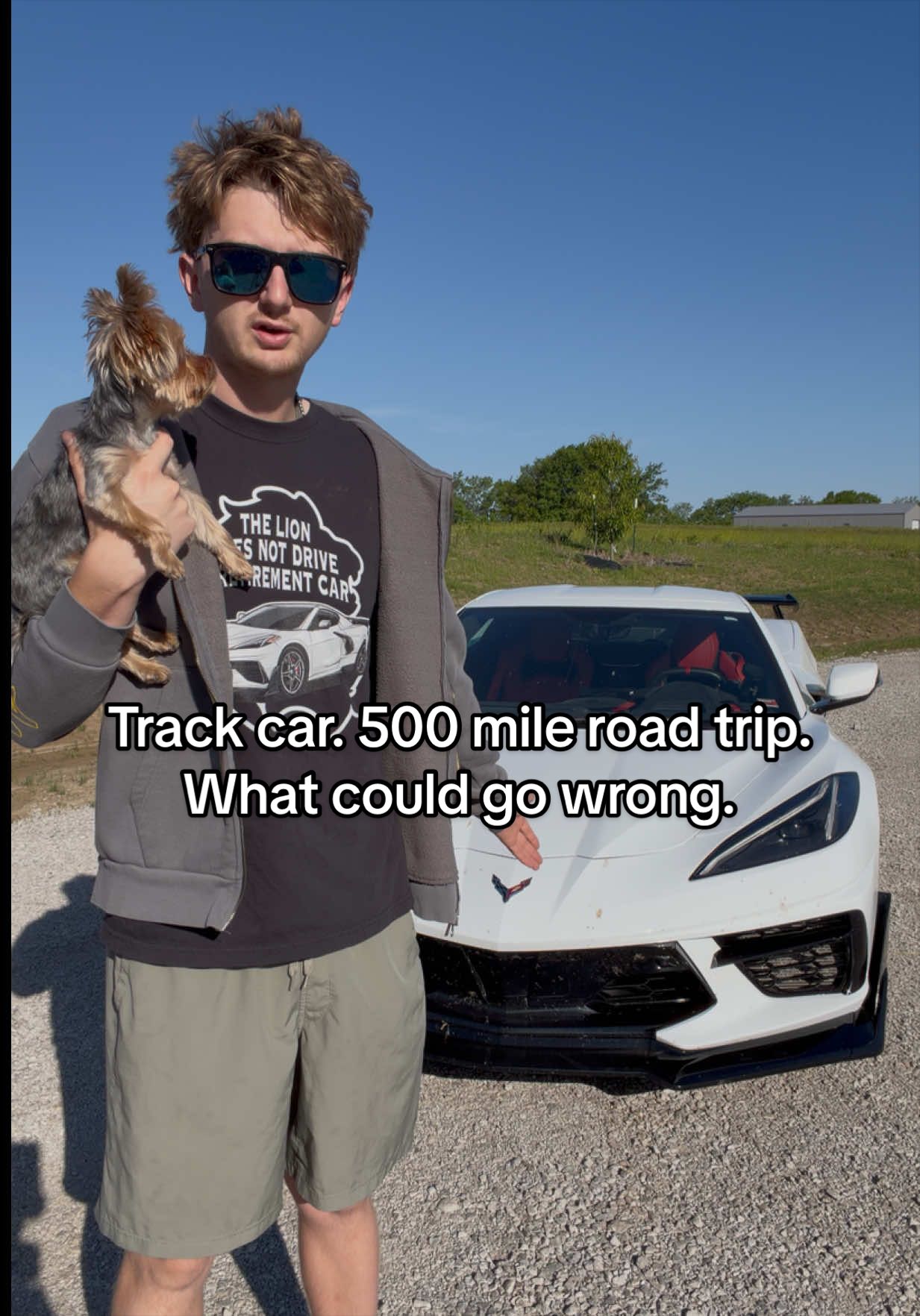 @theliondrives