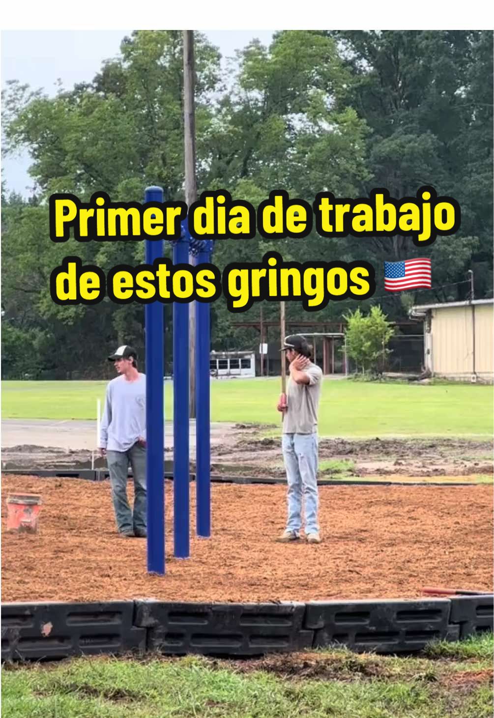 @T E O