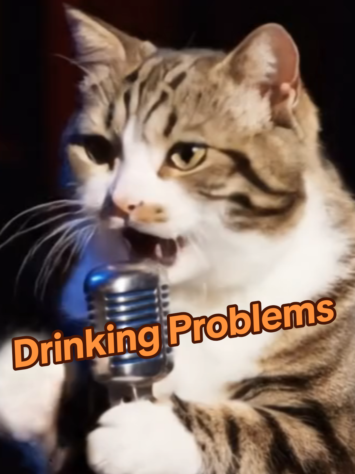 @comedyclubcats
