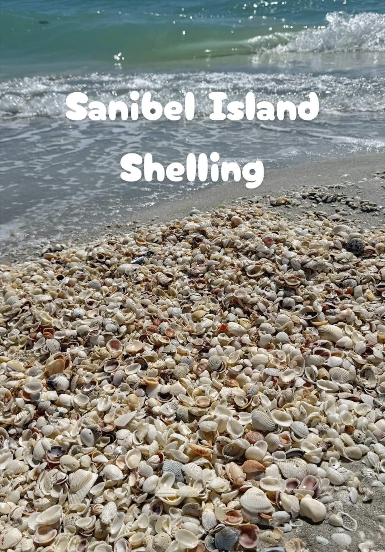 @Sanibel Sis