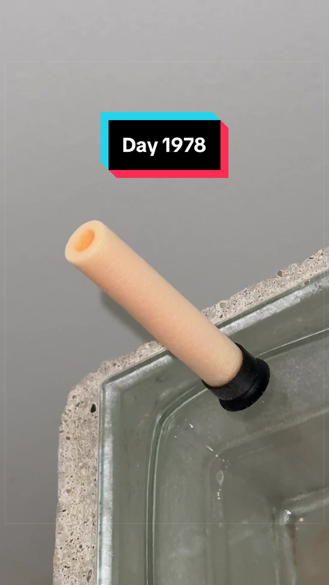 @The Immortal Nerf Dart