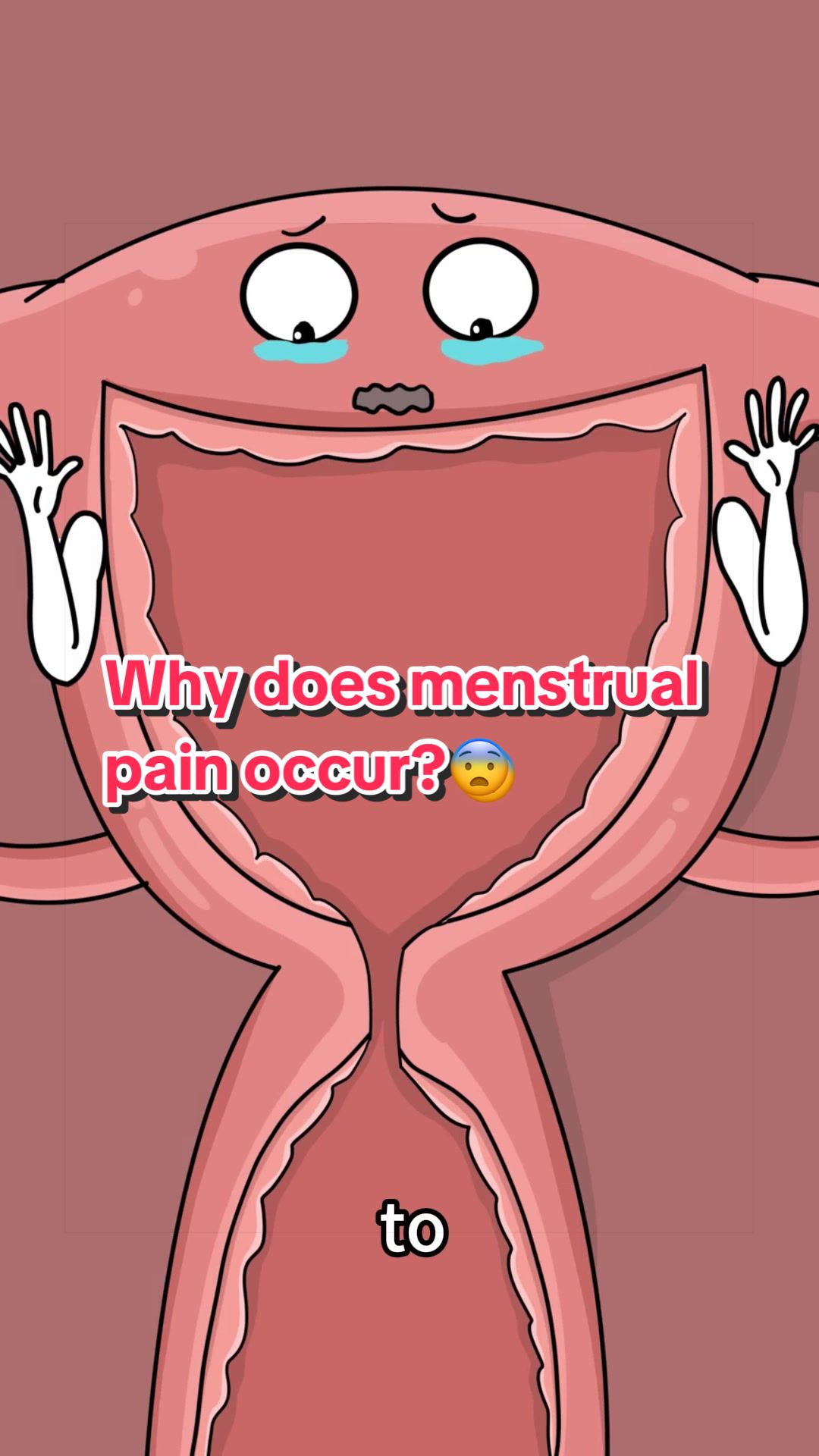 @Funny Animations