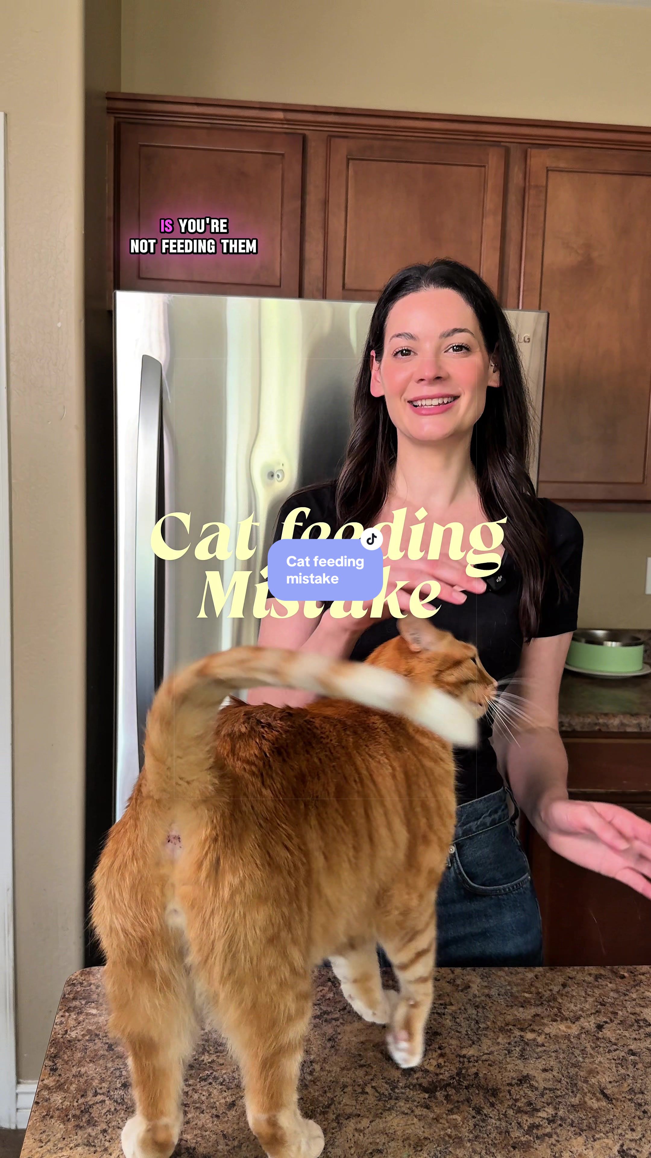 @Feminist Kitty | Cat Nutrition