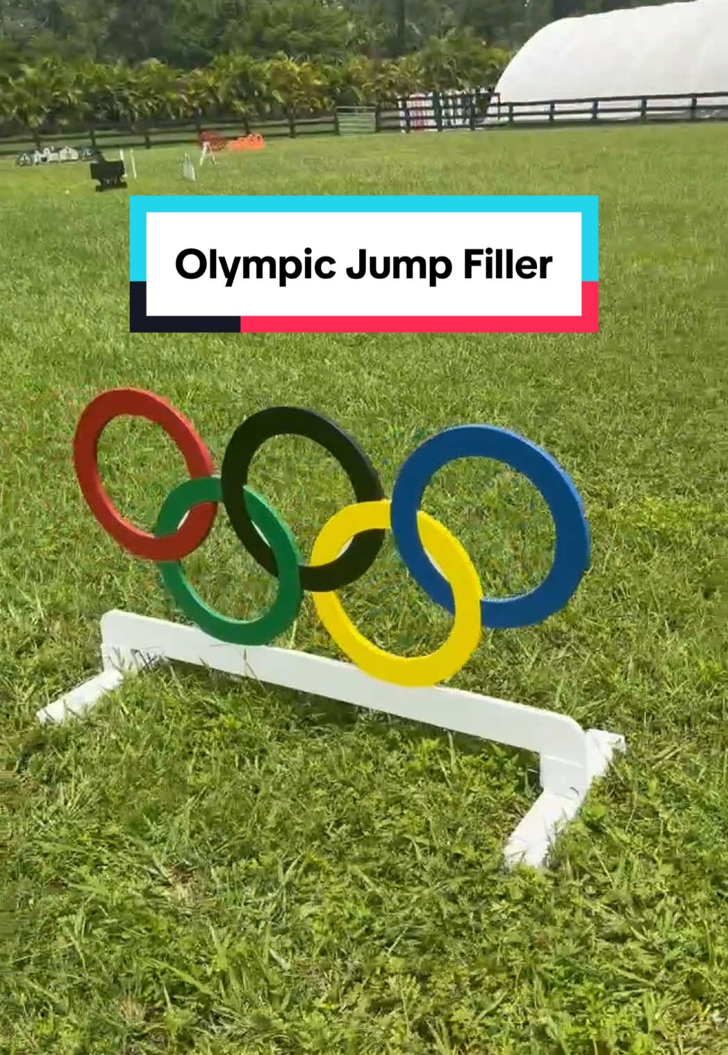 @Dalman Jump Co