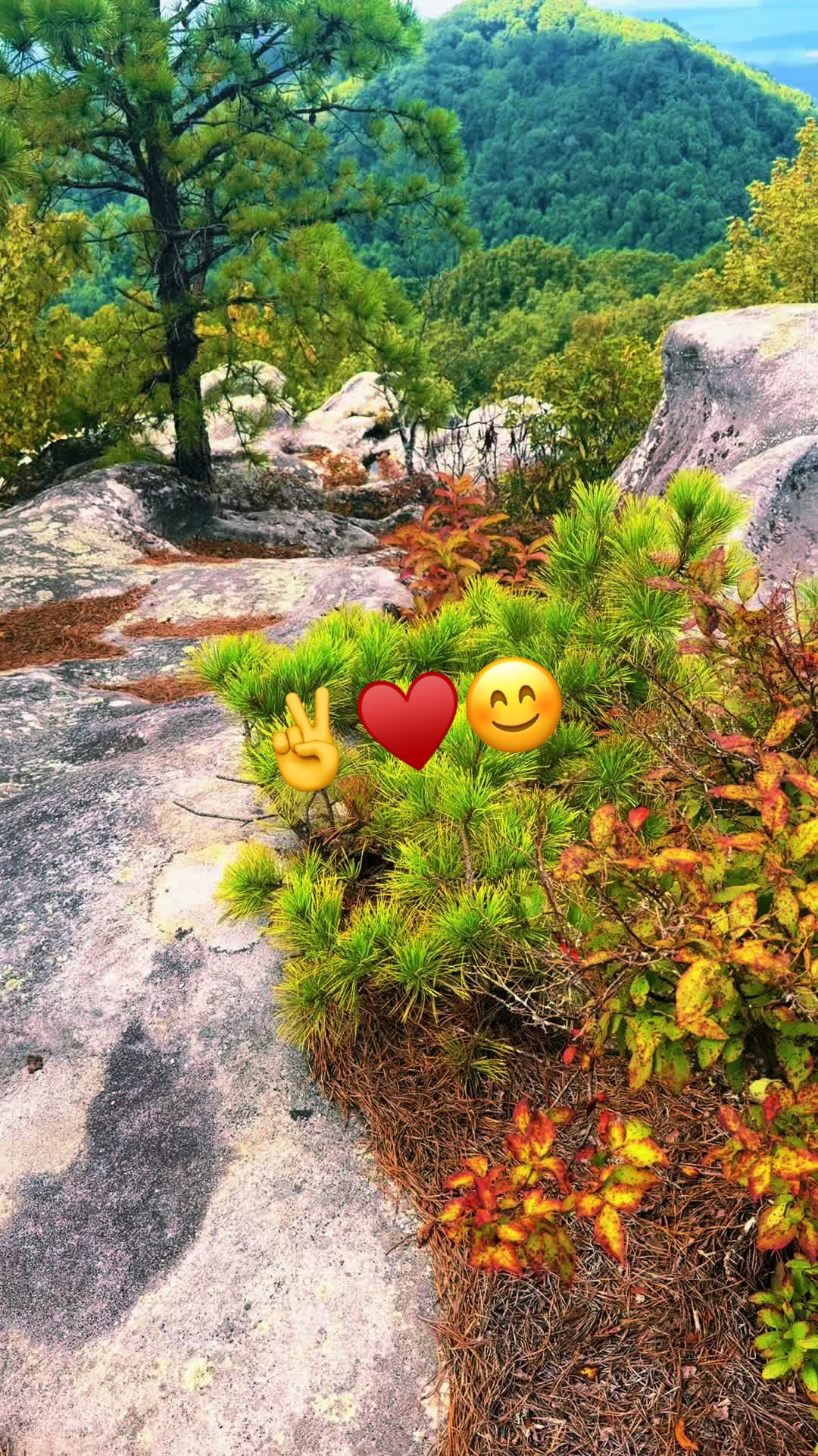 @🪶✨Dixie.Land.Delight✨🪶