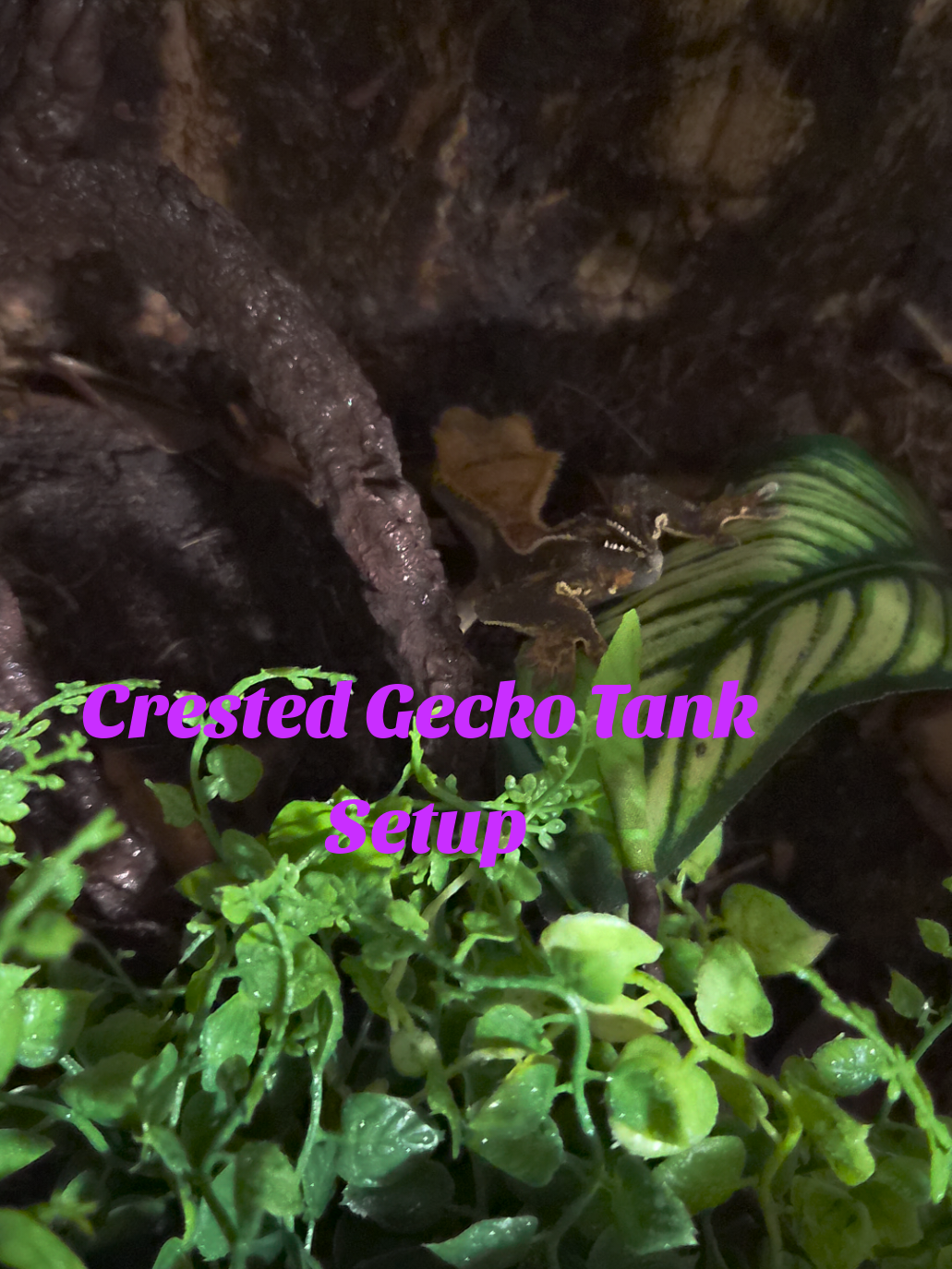 @Kassidyyy 😛