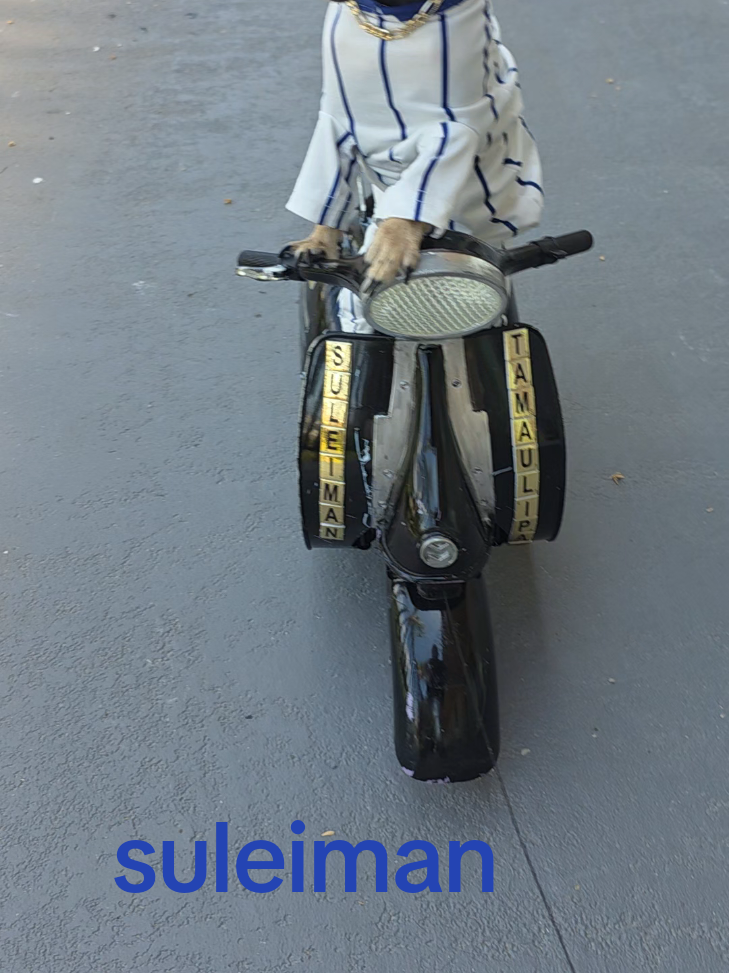 @suleiman 🐕