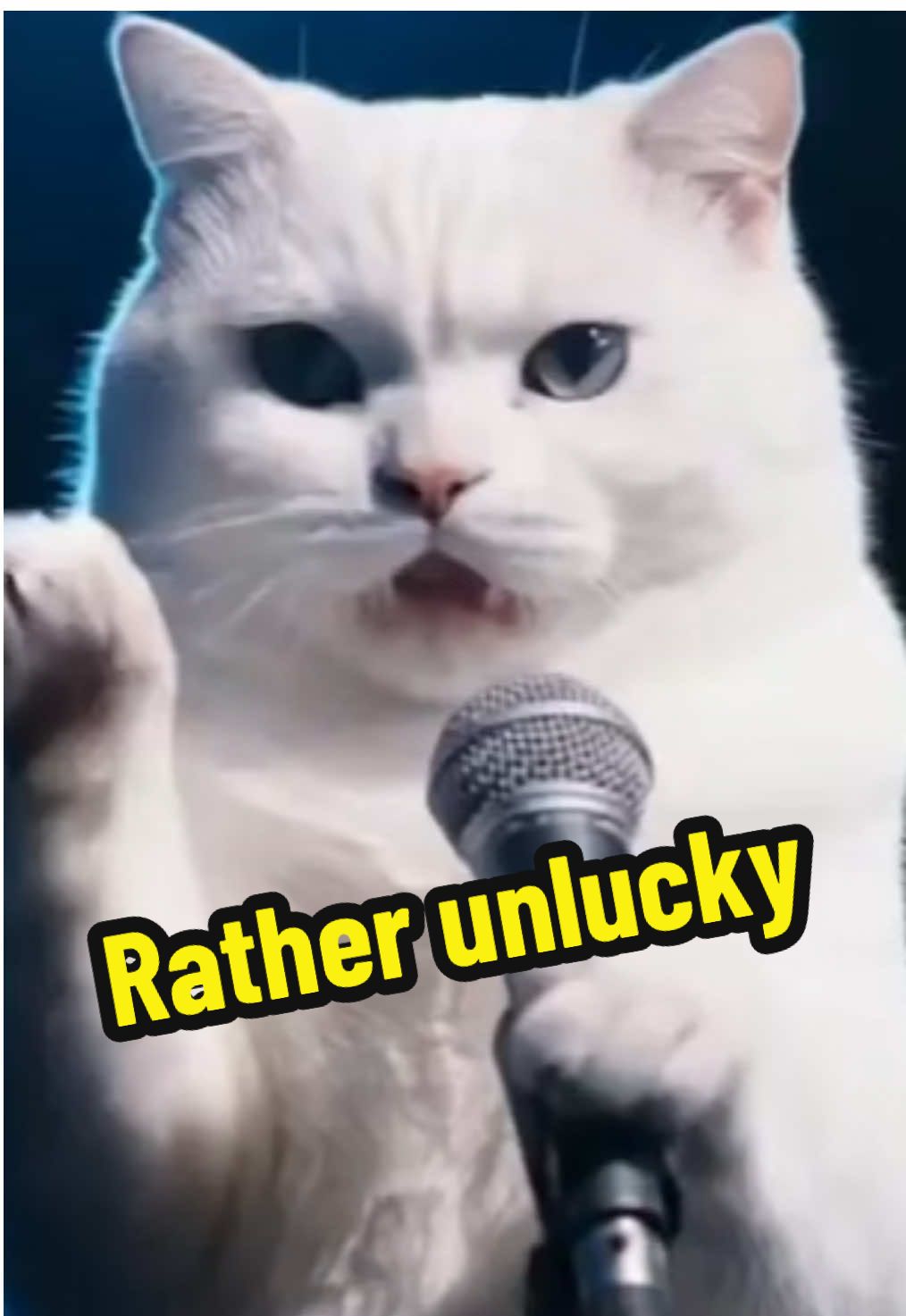 @comedyclubcats