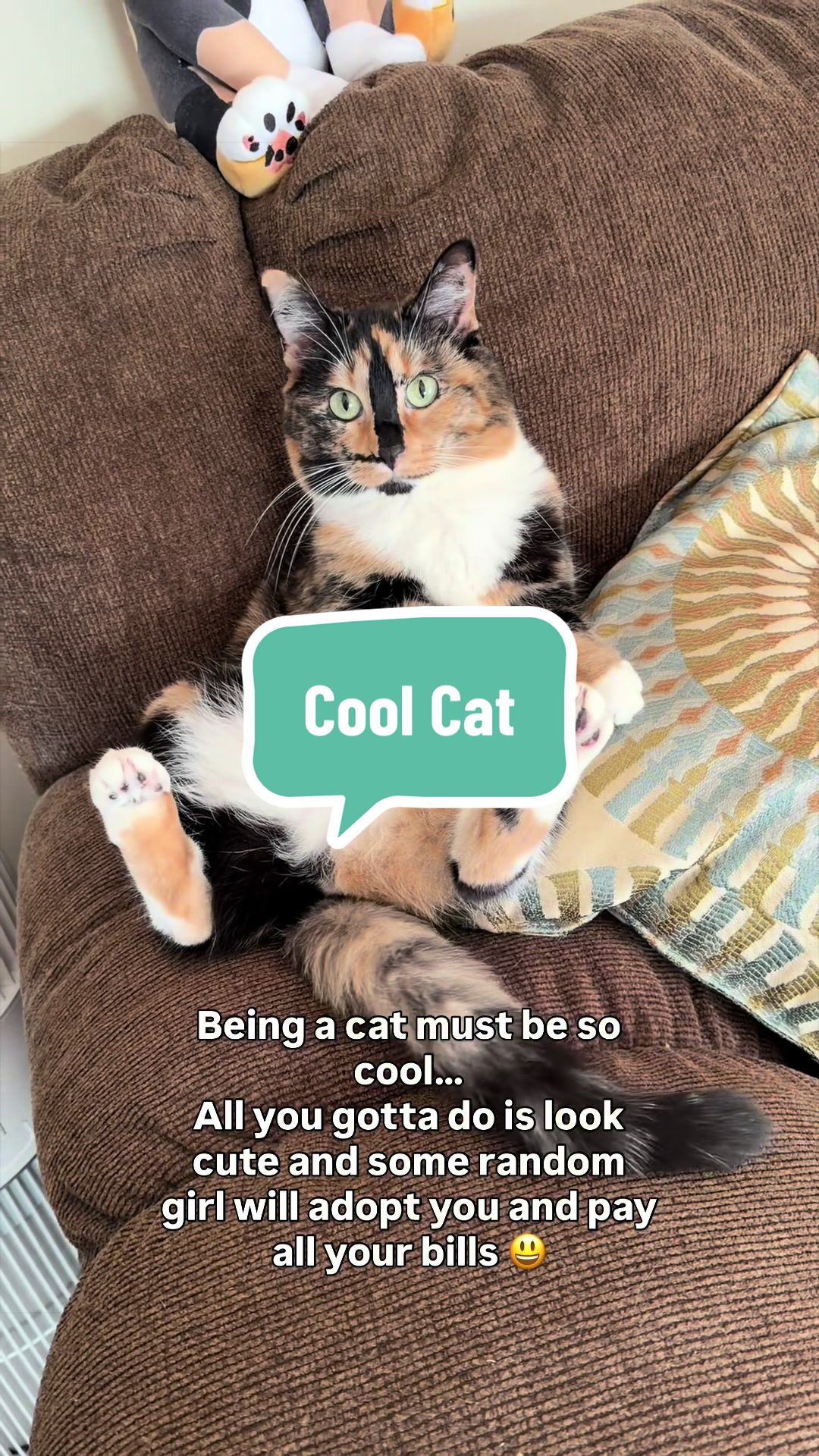 @SnickersTheSmilingCat