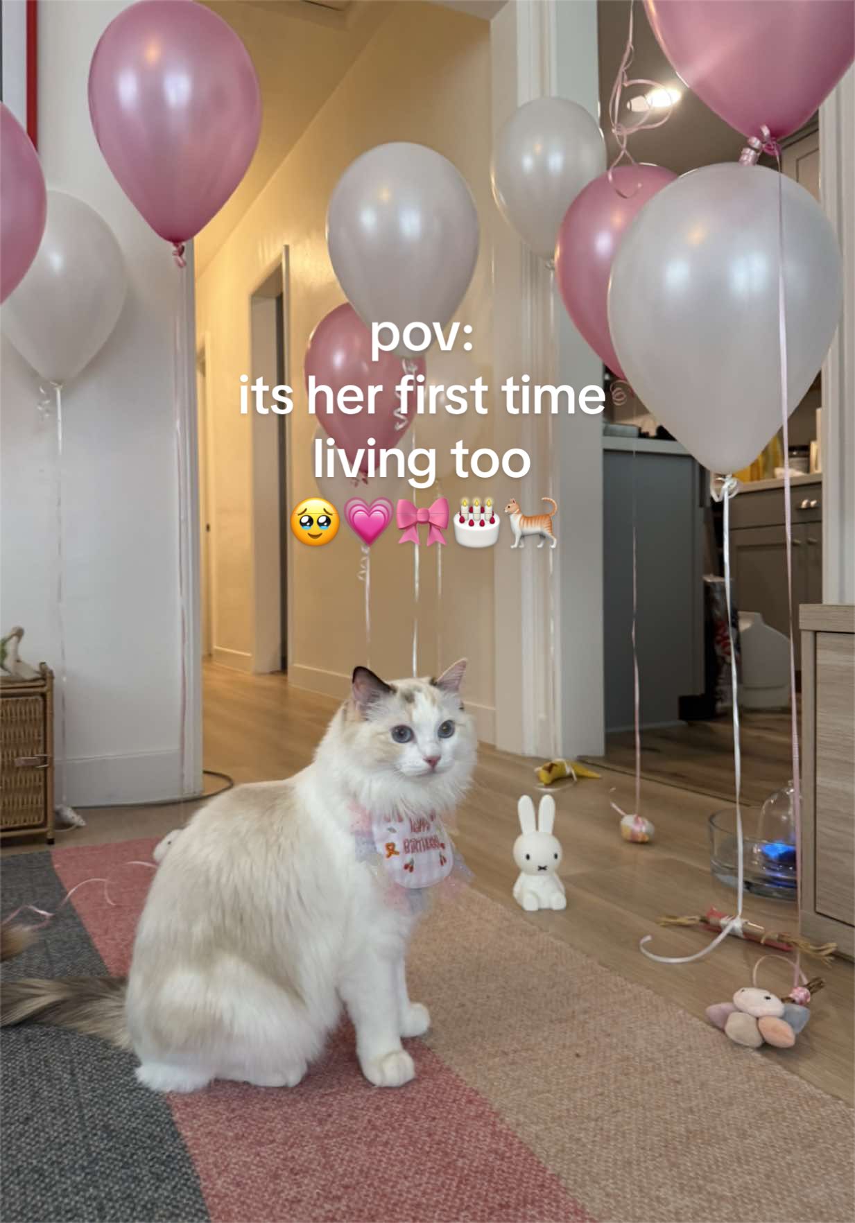 @hnh ✧