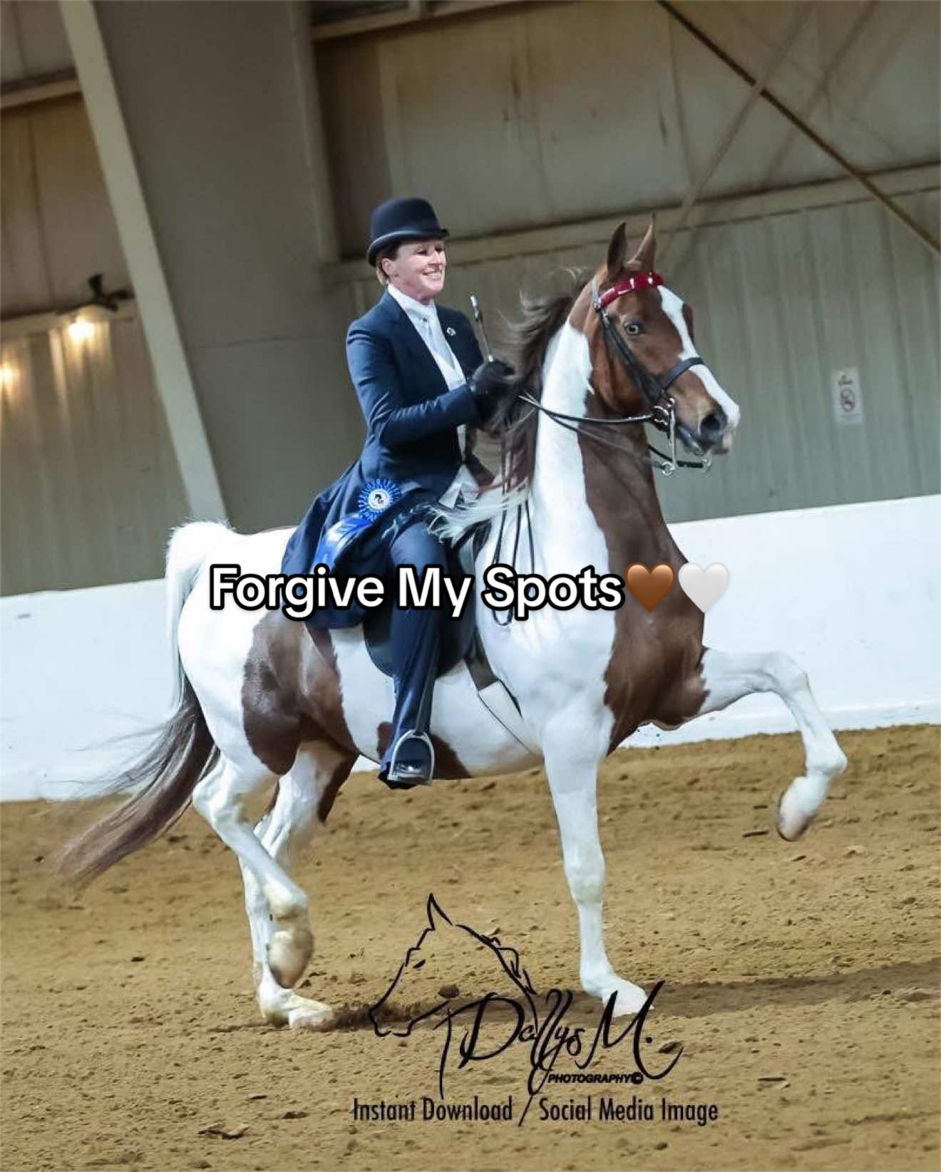 @Seraphim Stables