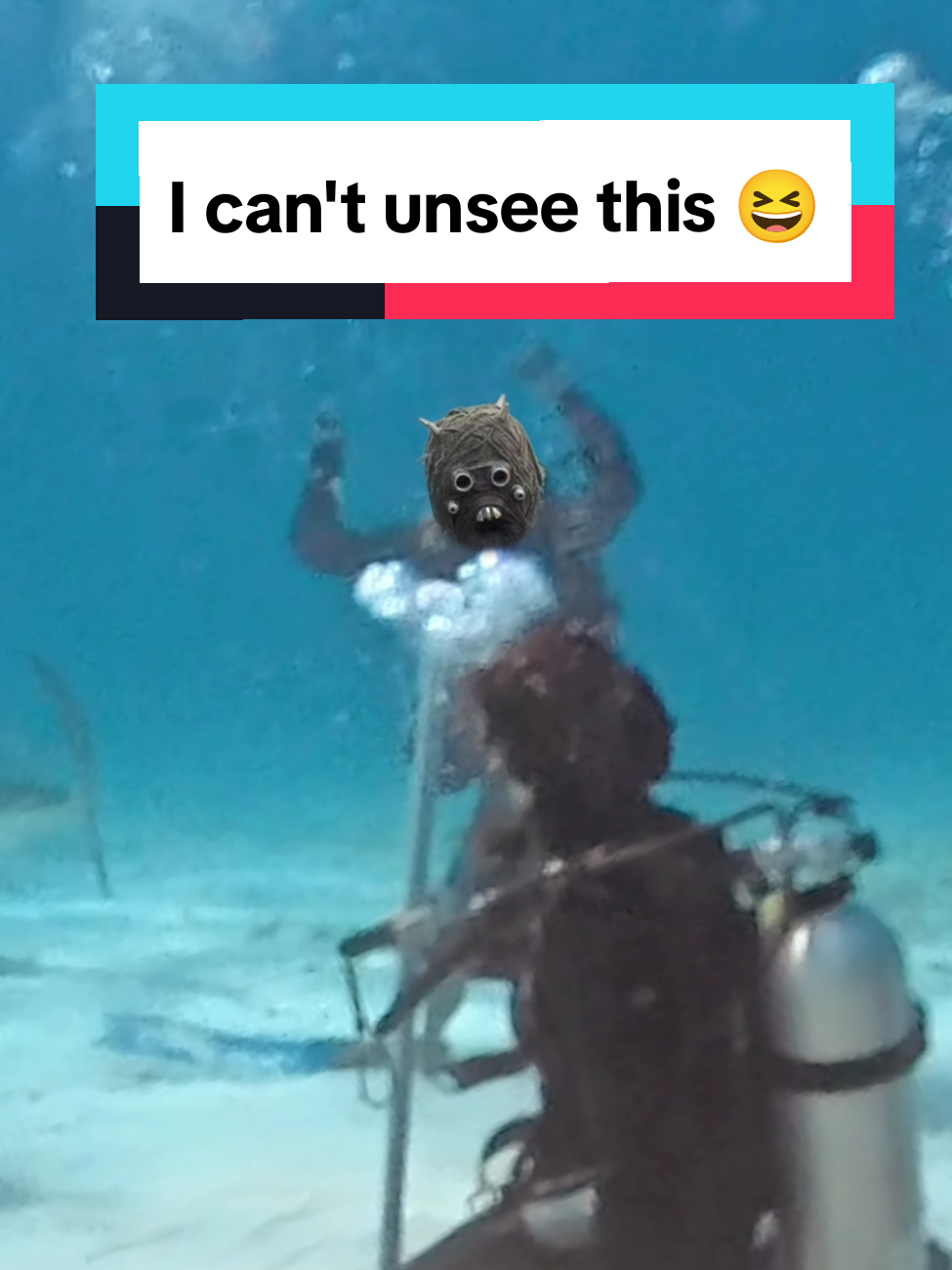 @Shark Geek