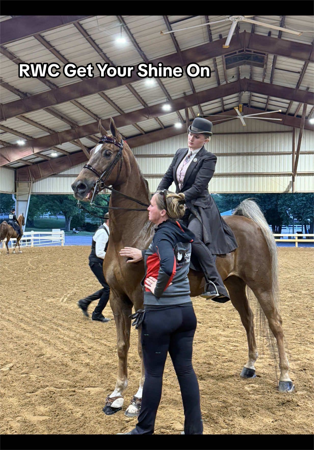 @Seraphim Stables