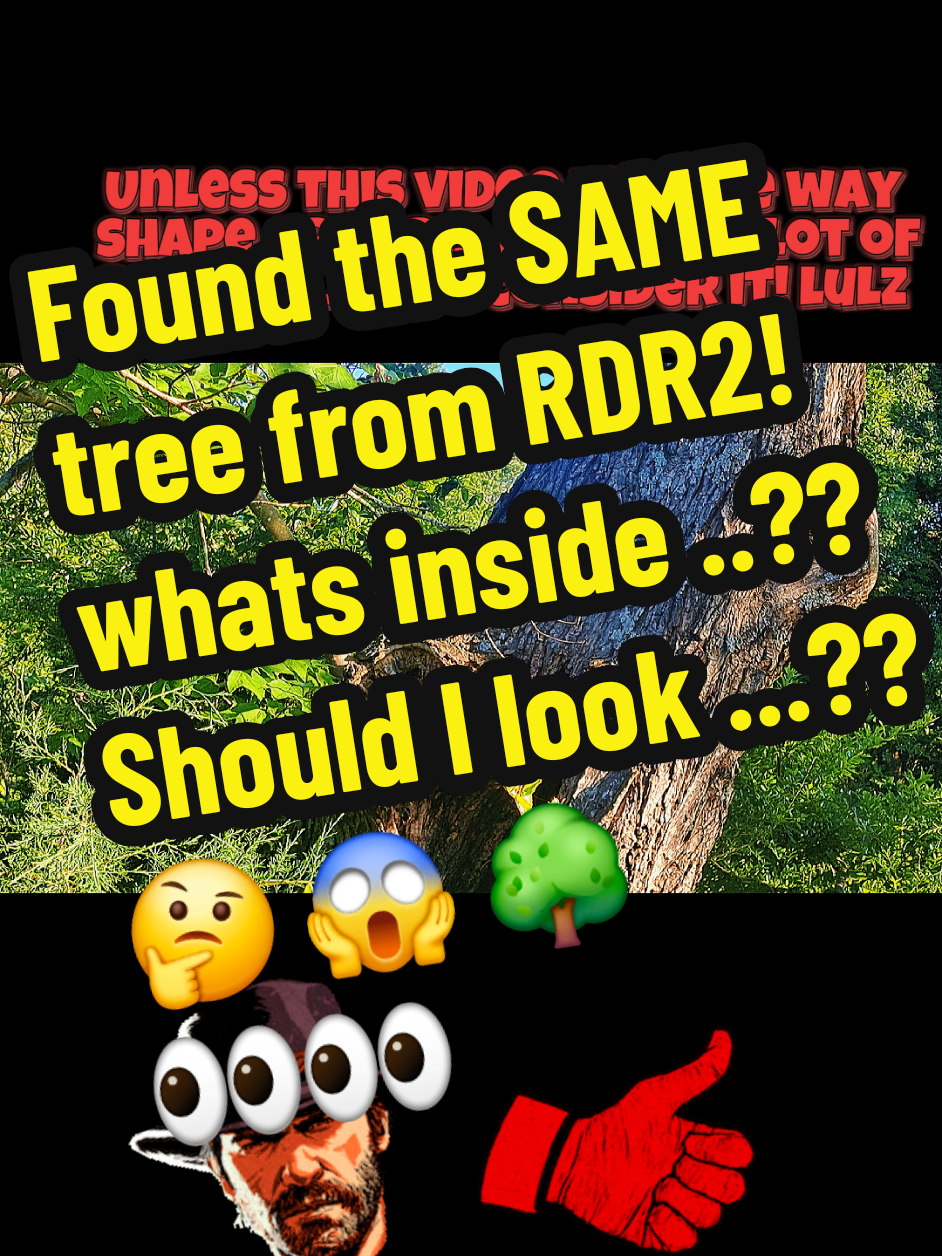 @Duttonzz