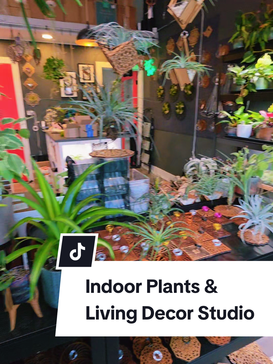 @terraplanted | West Seattle