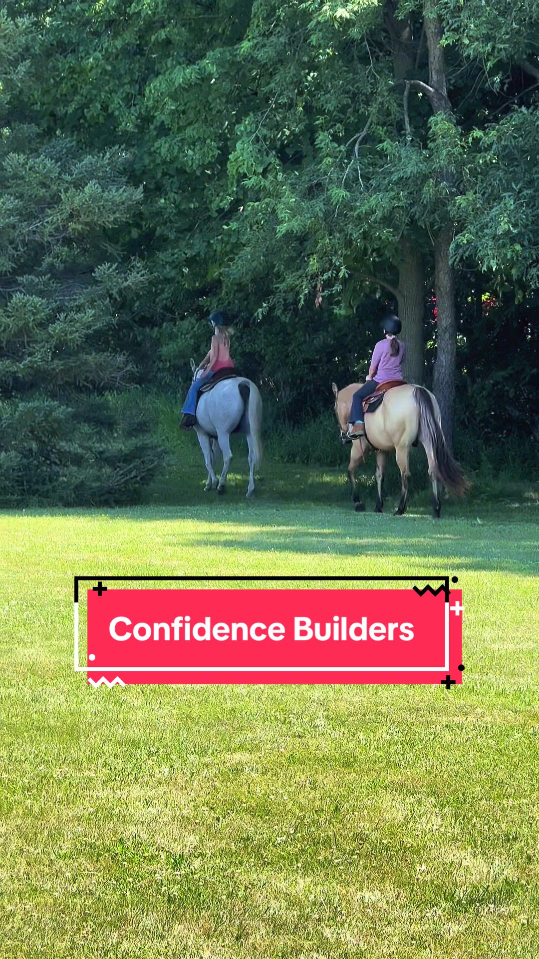 @yourhorseandponyleader