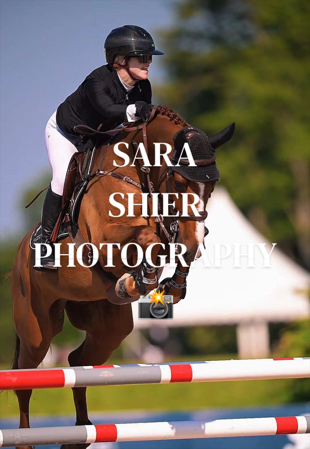 @corderoequine