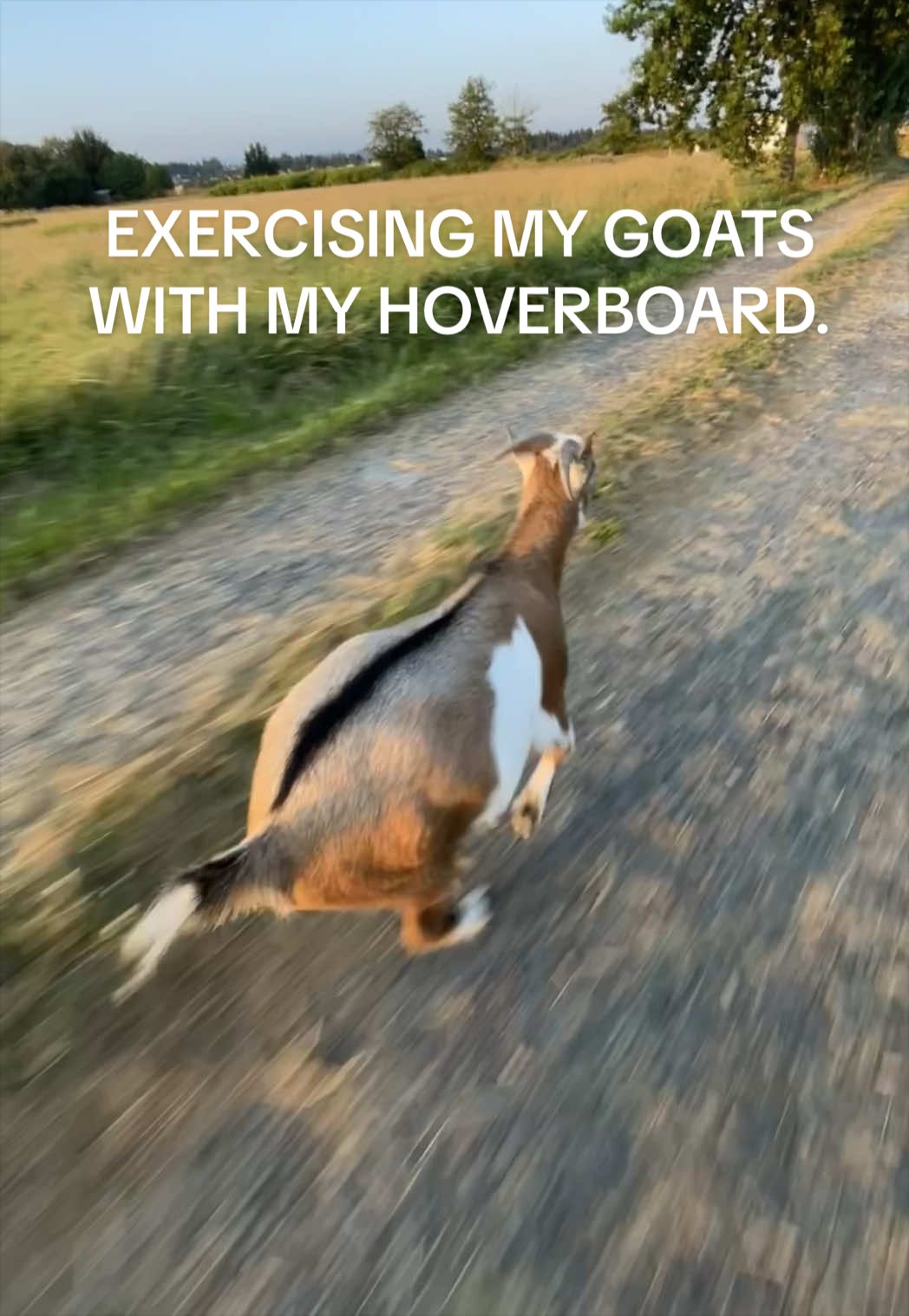 @kinkirro