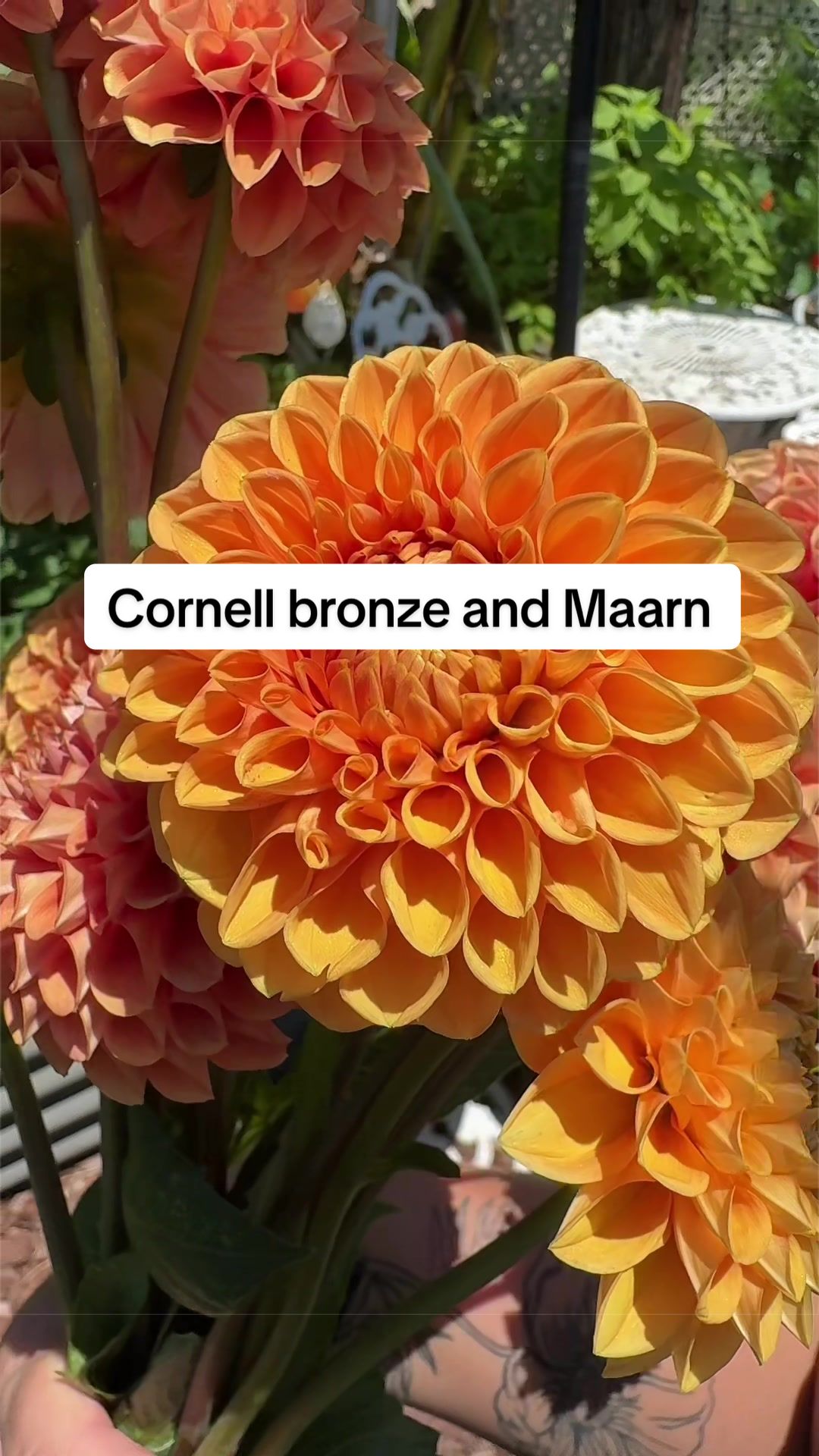 @Rylee&rsquo;s Blooms
