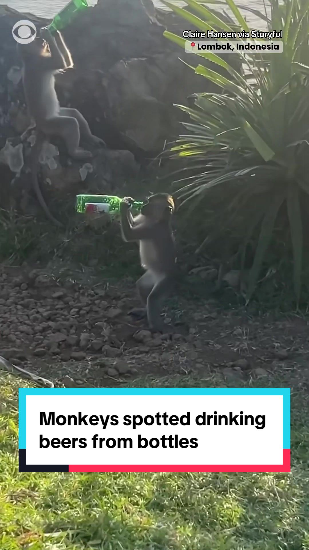 @cbsnews