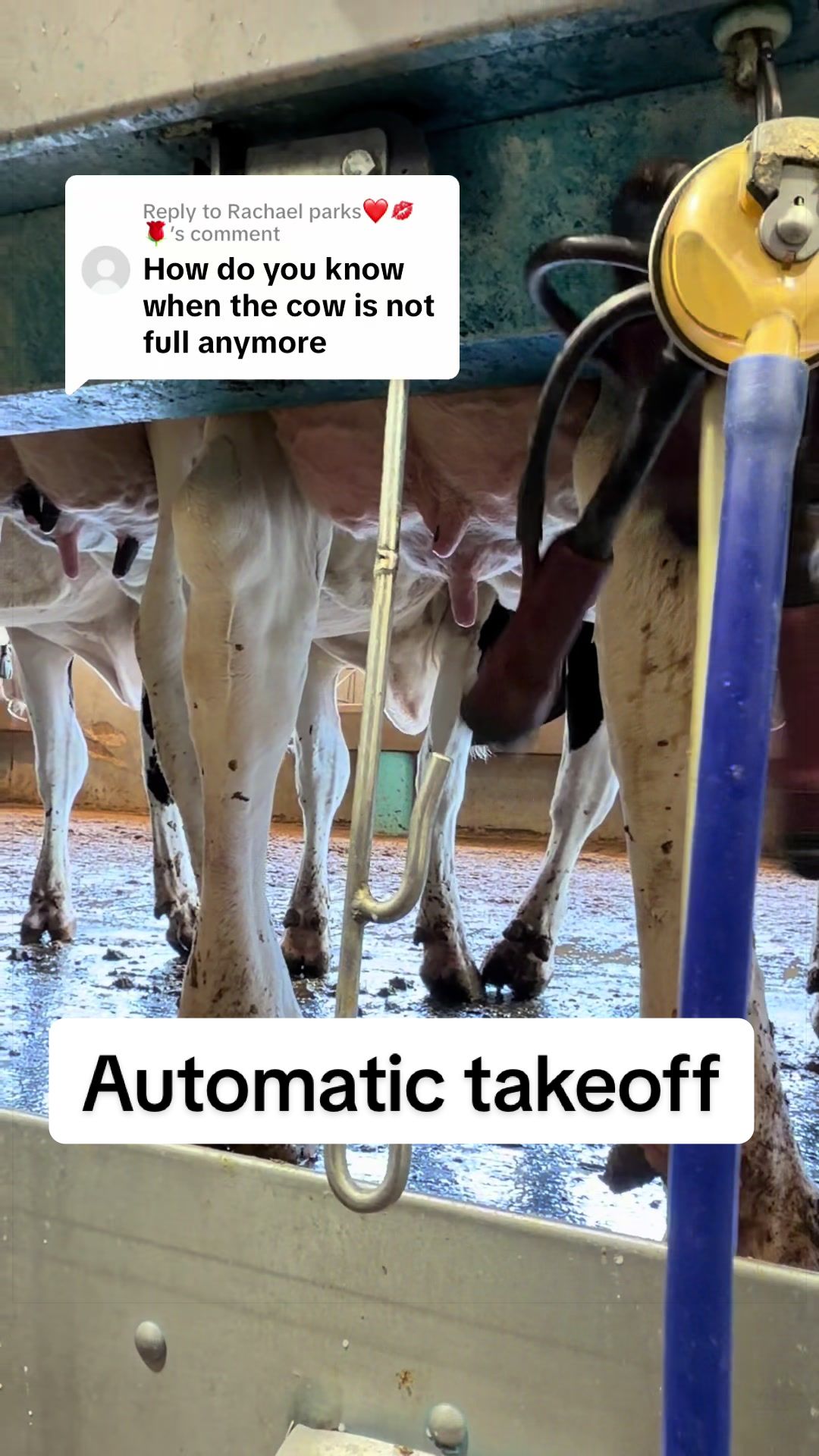 @Dairy Vet Dr. Michelle