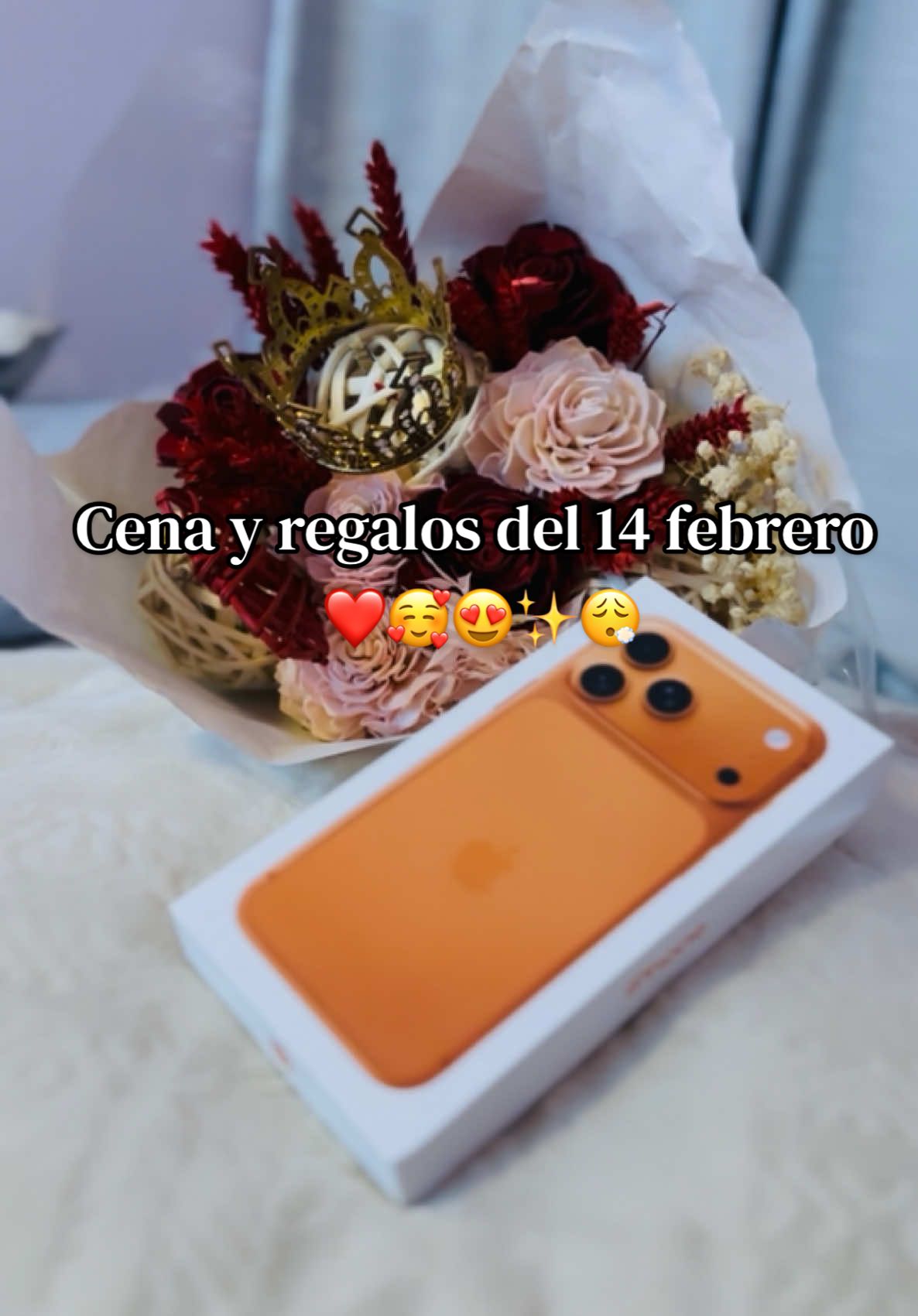 @Tanya Villanueva 🎀