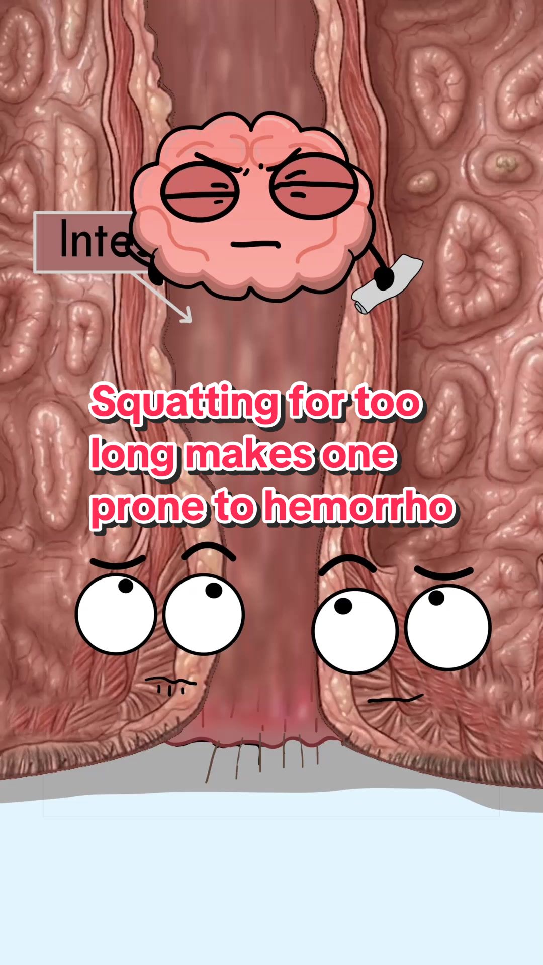 @Funny Animations
